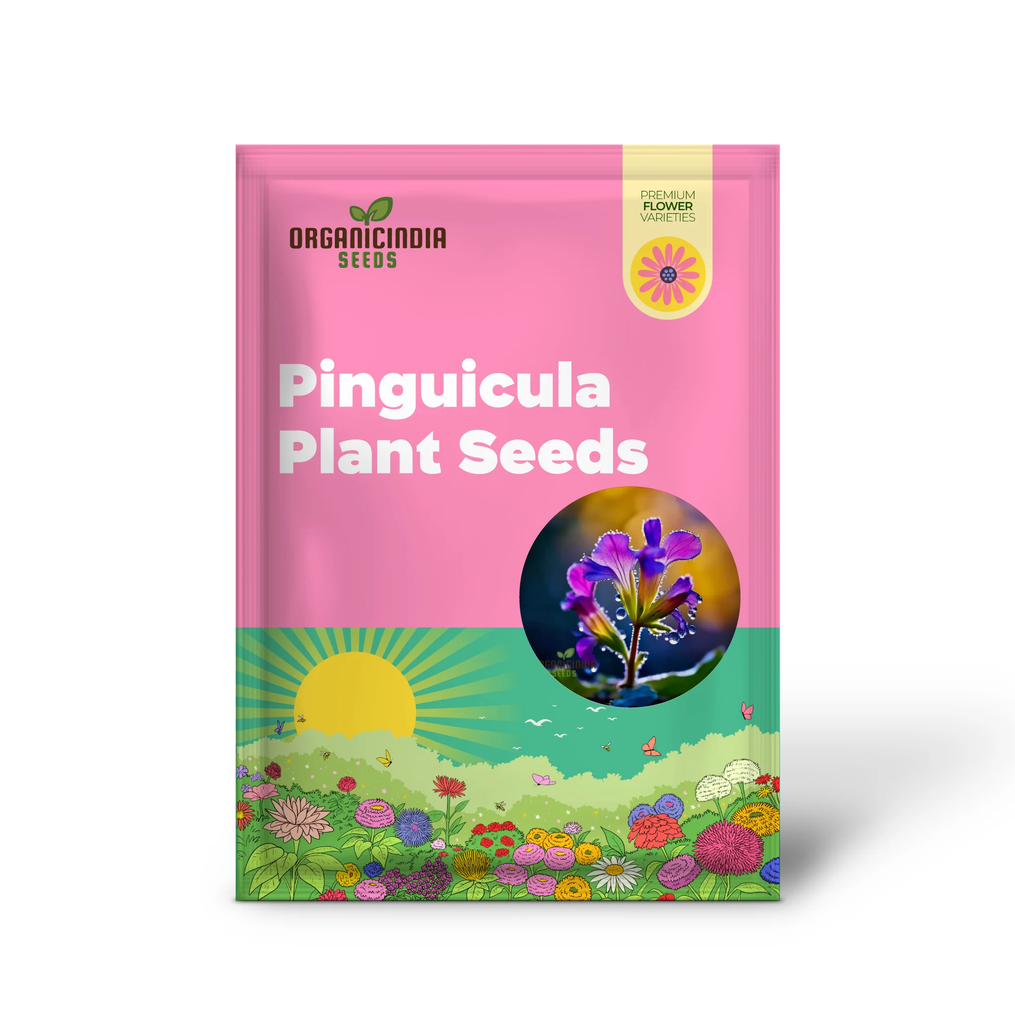 Pinguicula (Purple Butterwort) Carnivorous Plant Seeds – Unique Insect-Catching Flower Seeds for Gardening - Image 2