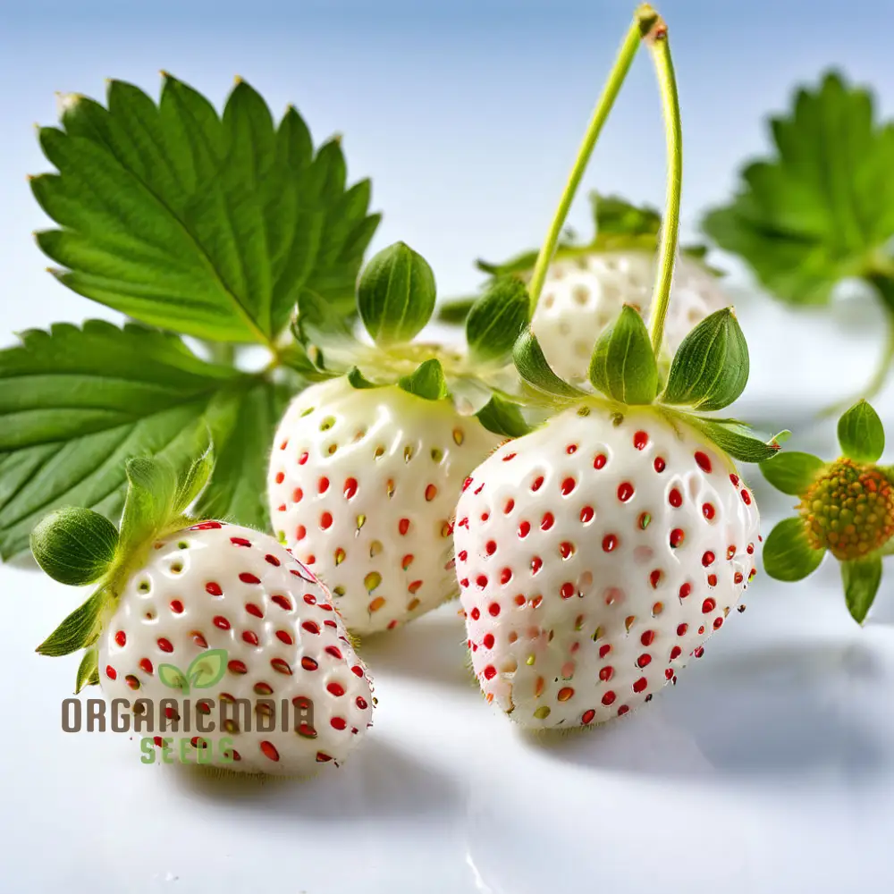 White Strawberry Seeds for Planting, Enhance Your Garden with Snow White Fruit Seeds - Image 4