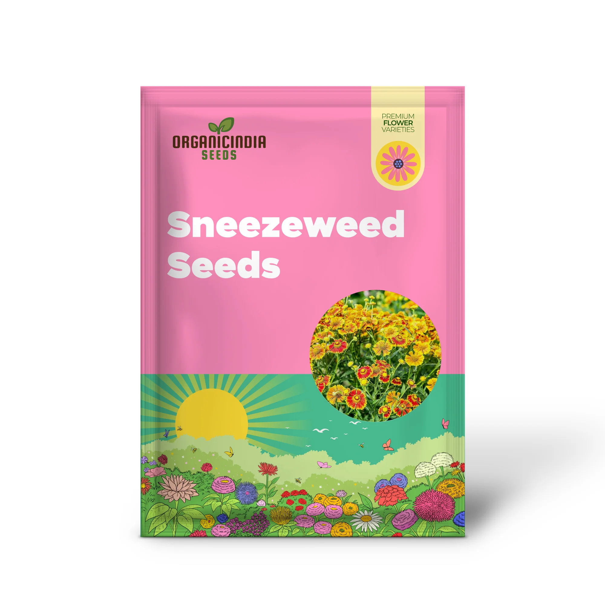 Sneezeweed Seeds - Helen's Flower (Helenium Autumnale), Ornamental, Attracts Butterflies & Pollinators - Image 2