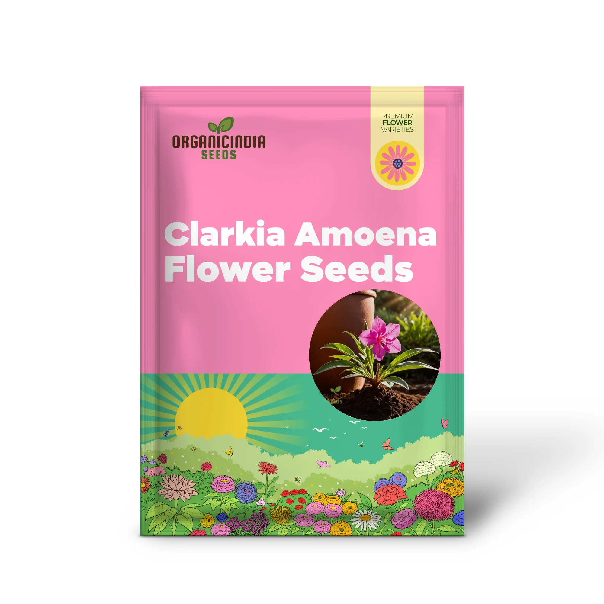 Pink Clarkia Amoena Flower Seeds, Elegant Blooms for Charming Garden Landscapes - Image 2