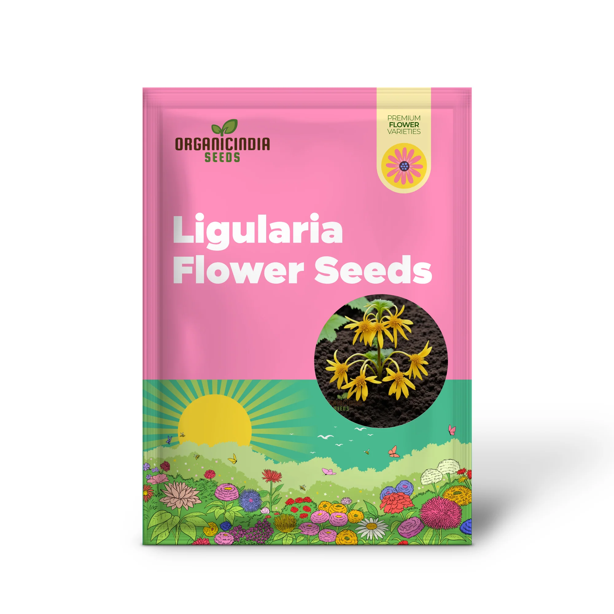 Ligularia Flower Seeds – Bold Eye-Catching Blooms & Lush Foliage for Garden Planting - Image 2
