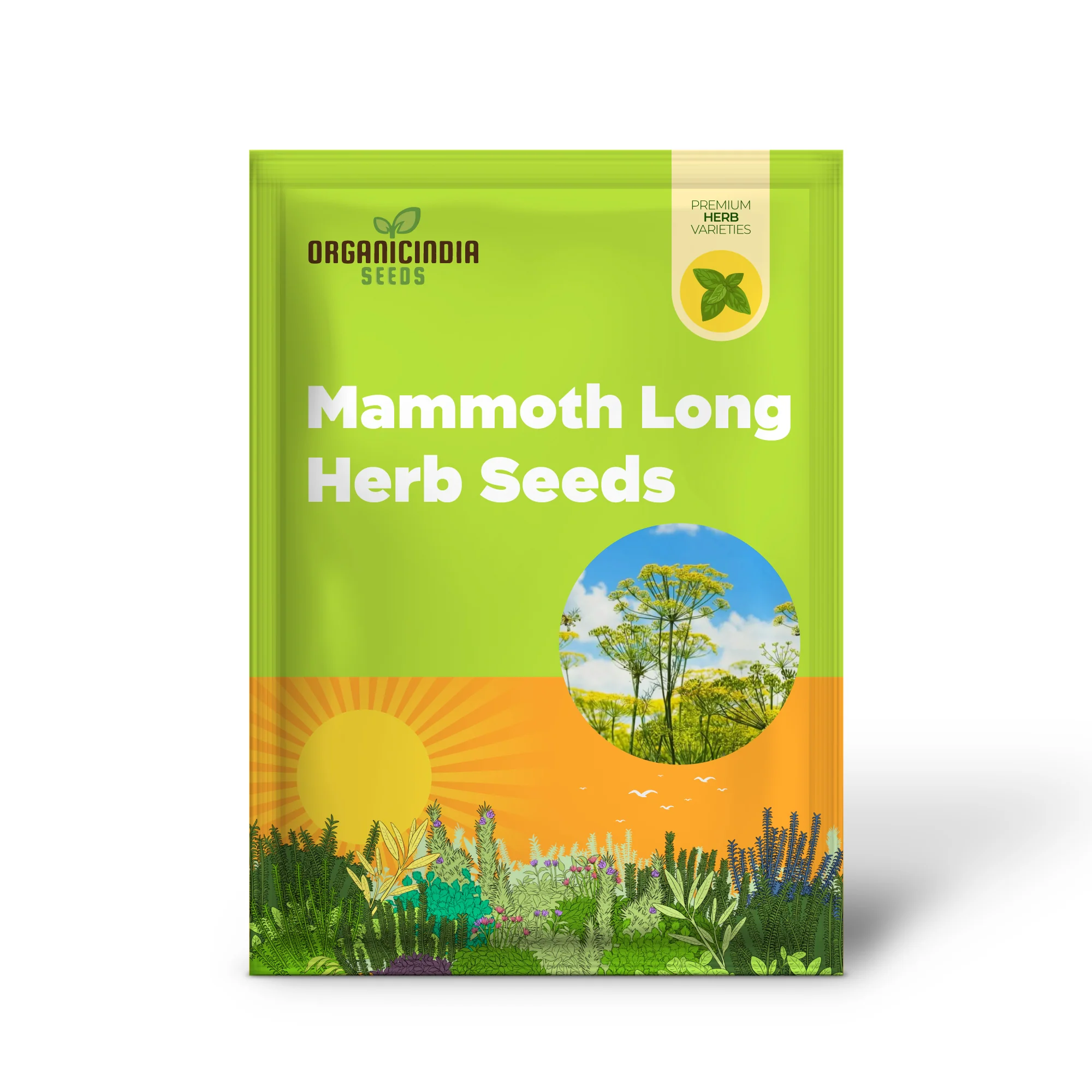 Mammoth Long Island Dill Seeds – Non-GMO Heirloom Herb for Gardening & Microgreens - Image 2