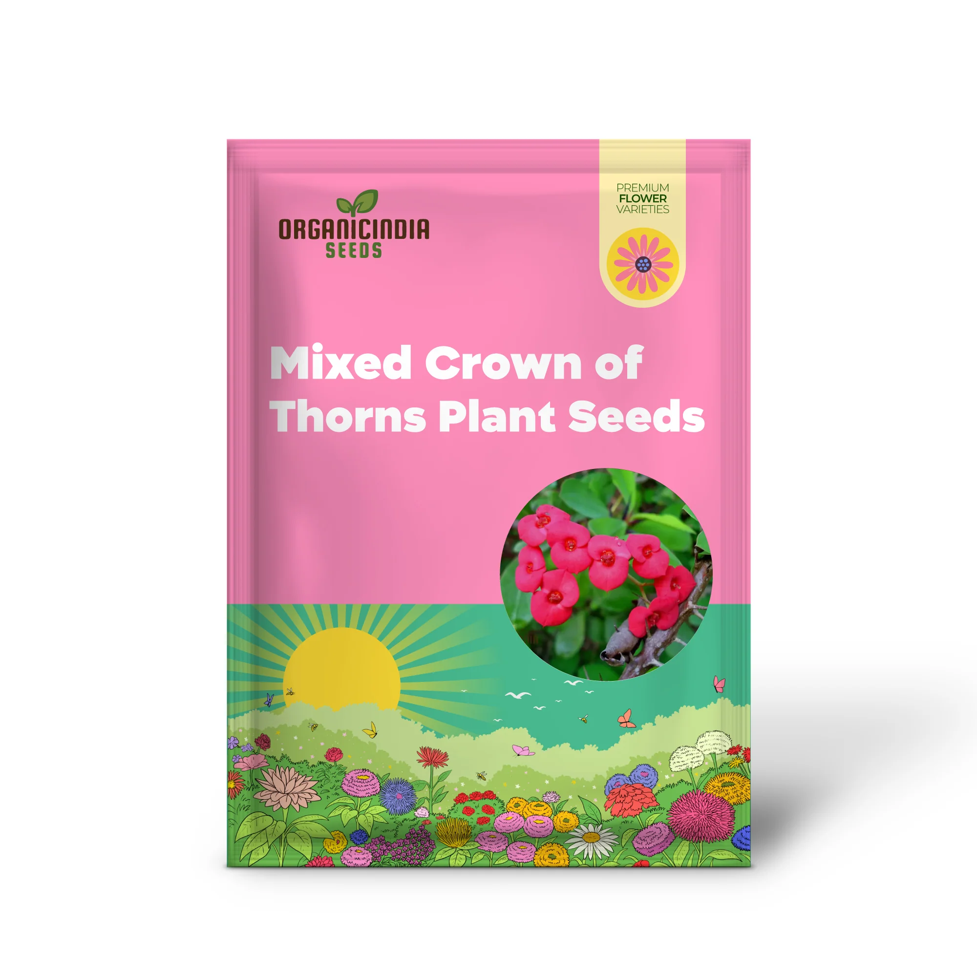 Transform Your Garden Oasis: Mixed Crown of Thorns Plant Seeds for Vibrant Floral Beauty - Image 2