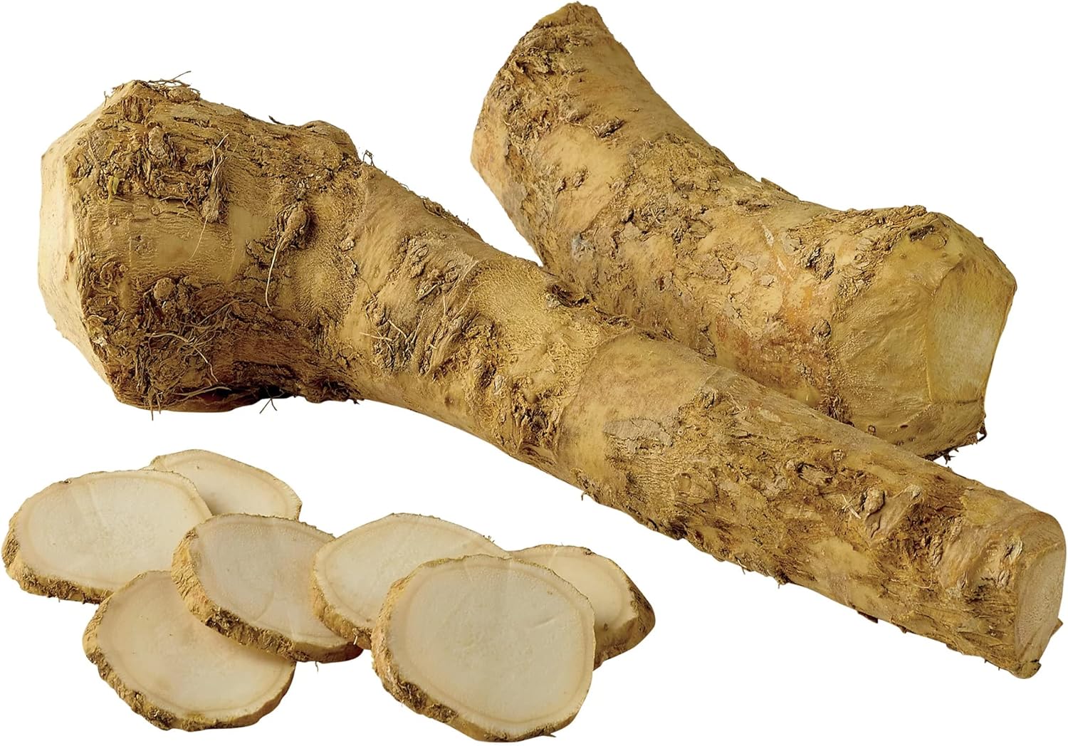 200 Pcs Horseradish Seeds | Armoracia Rusticana | Red Cloe Pepper Root Perennial Vegetable Seeds | GMO-Free | Ideal for Garden Containers & Outdoor Planting - Image 4