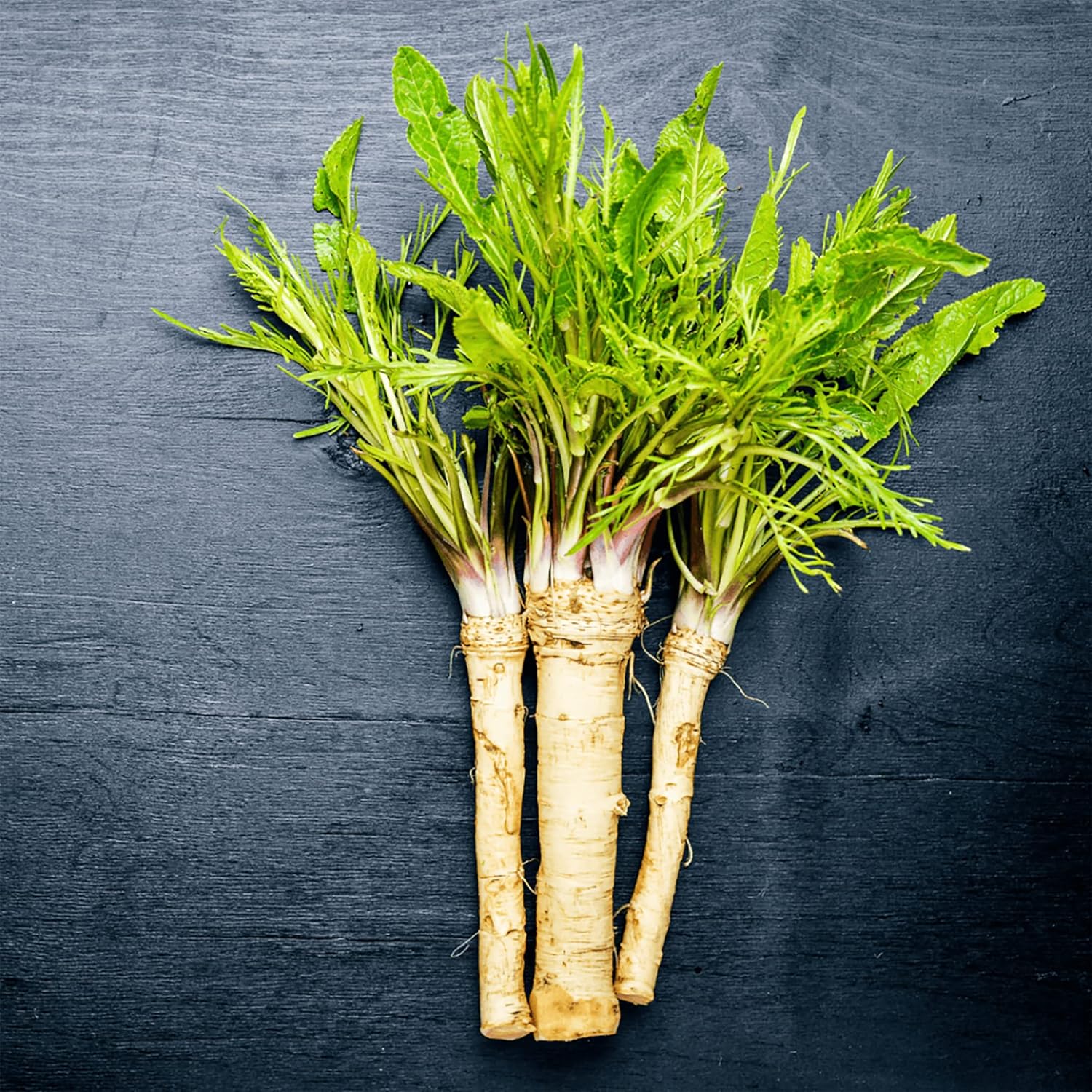 200 Pcs Horseradish Seeds | Armoracia Rusticana | Red Cloe Pepper Root Perennial Vegetable Seeds | GMO-Free | Ideal for Garden Containers & Outdoor Planting - Image 5