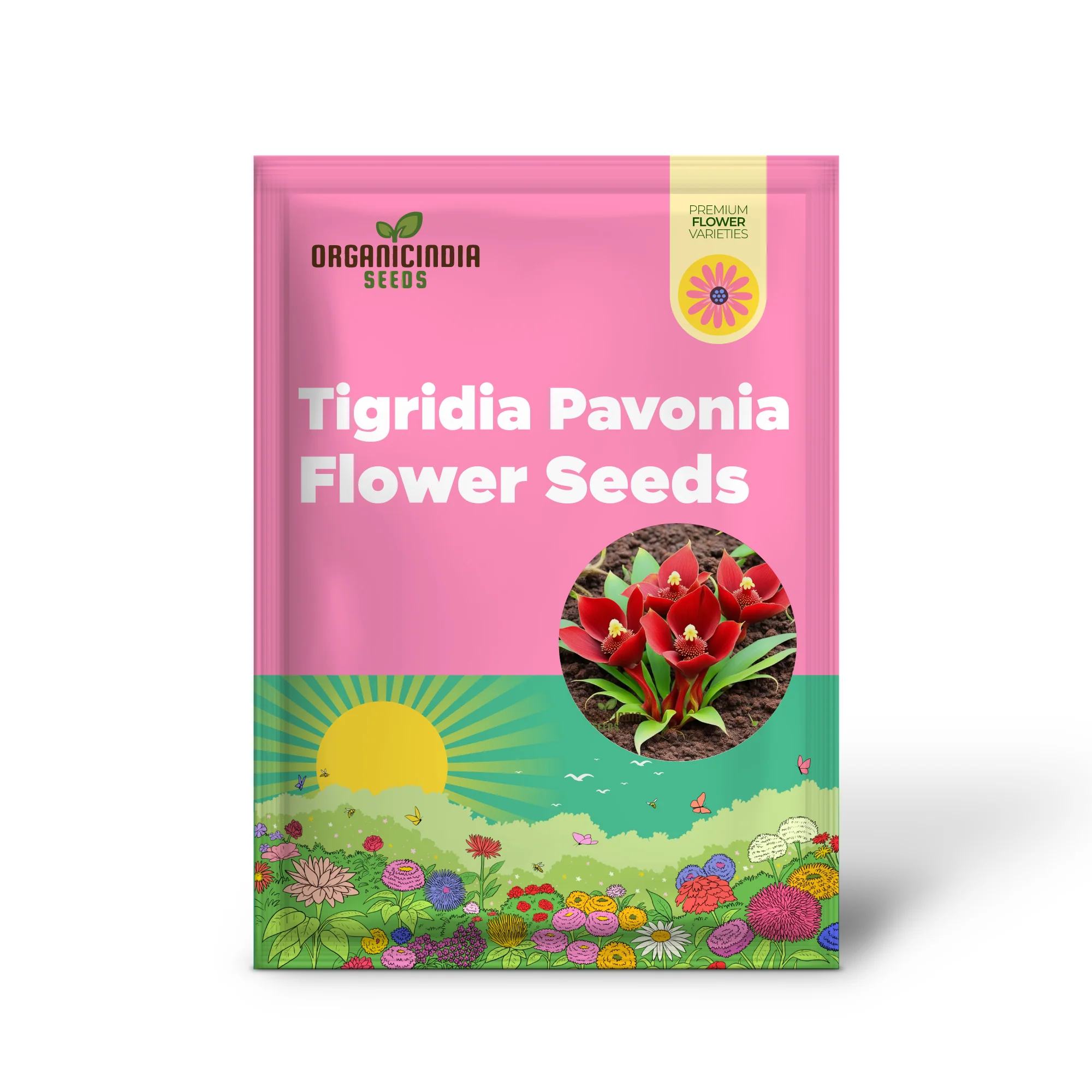 Red Tigridia Pavonia Flower Seeds, Exotic Garden Blooms with Easy-to-Grow Flower Seeds for Planting - Image 2