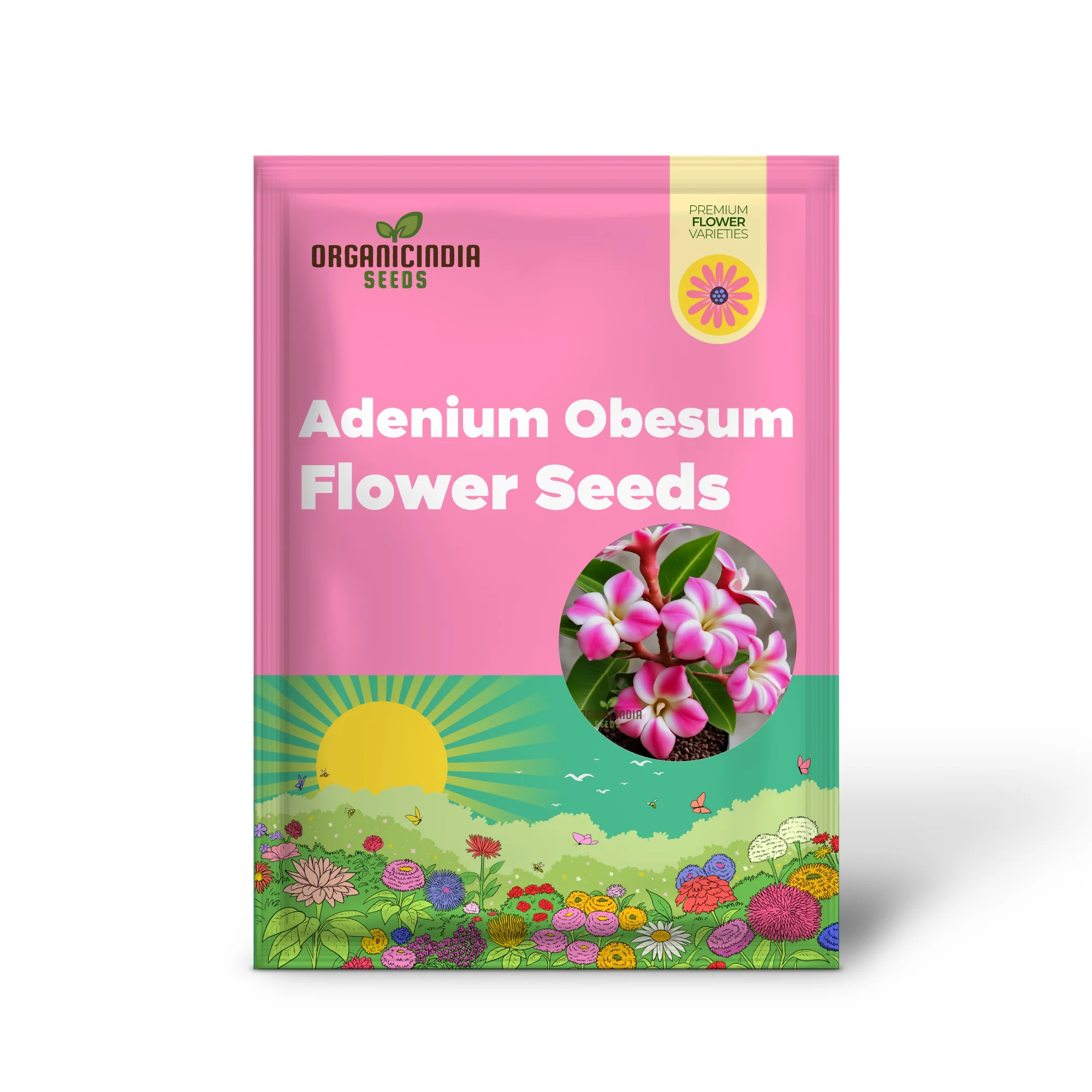 Pink Adenium Obesum Flower Seeds – Stunning Desert Rose Blooms for Pots, Bonsai Displays, Outdoor Gardens & Decorative Landscaping - Image 2