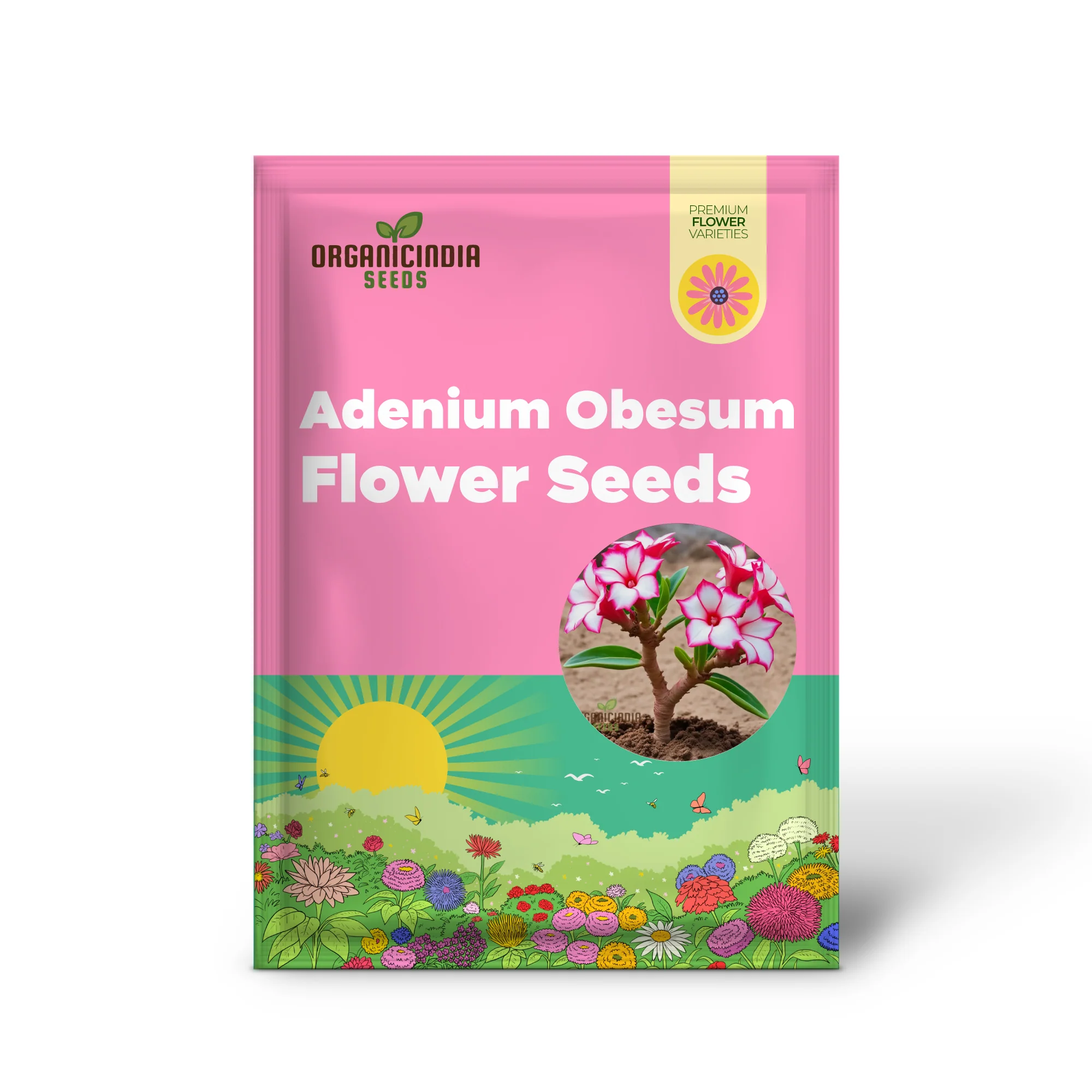 Pink and White Adenium Obesum Flower Seeds for Planting, Vibrant and Beautiful Varieties - Image 2