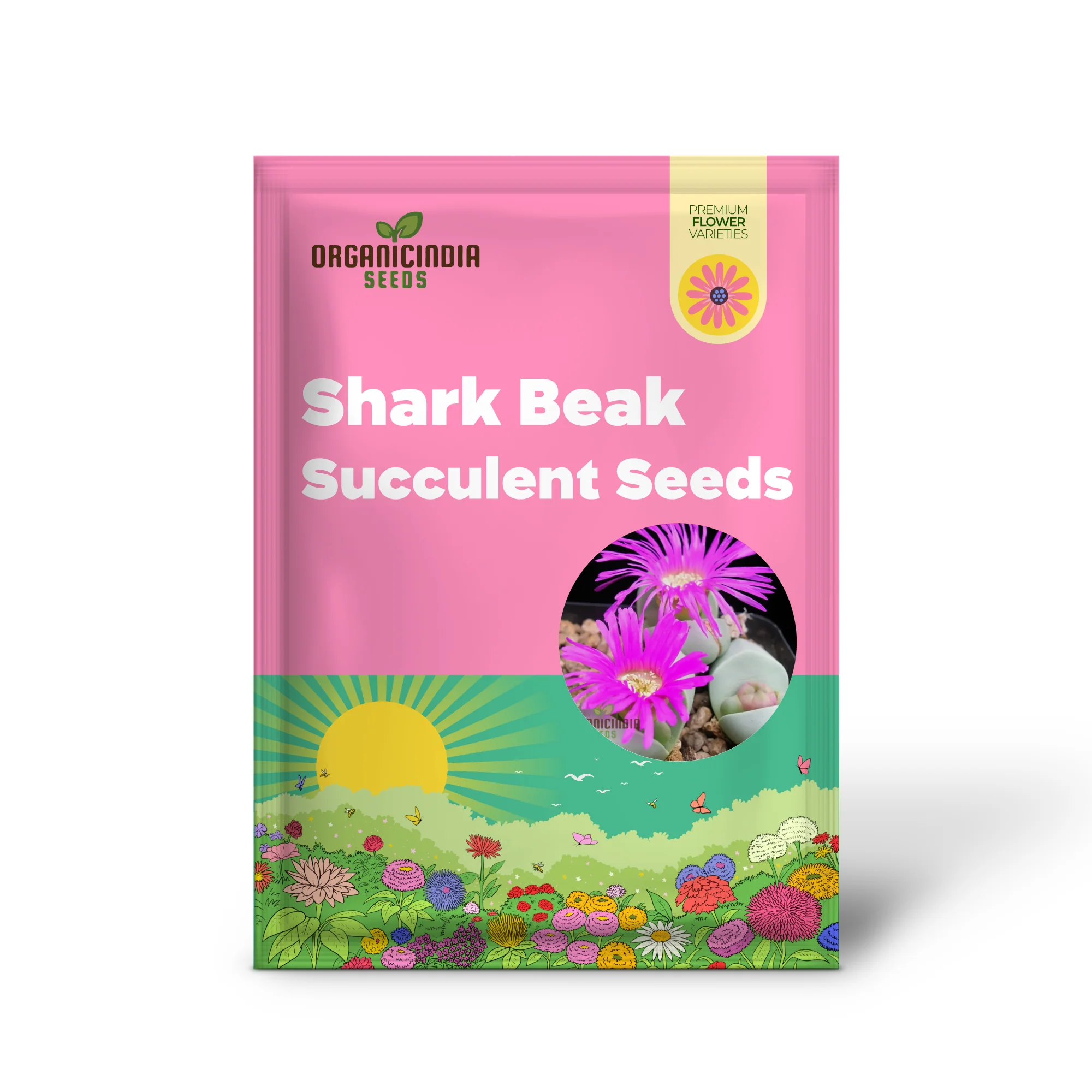 Shark Beak Succulent Seeds - All Seasons Pink Succulent Seeds for Indoor & Outdoor Gardening, Grow Beautiful Succulents from Seeds, Premium Quality Seeds - Image 2