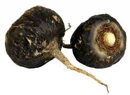 Black Maca Seeds, Ginseng Superfood, Easy to Grow – 40 Pieces - Image 5