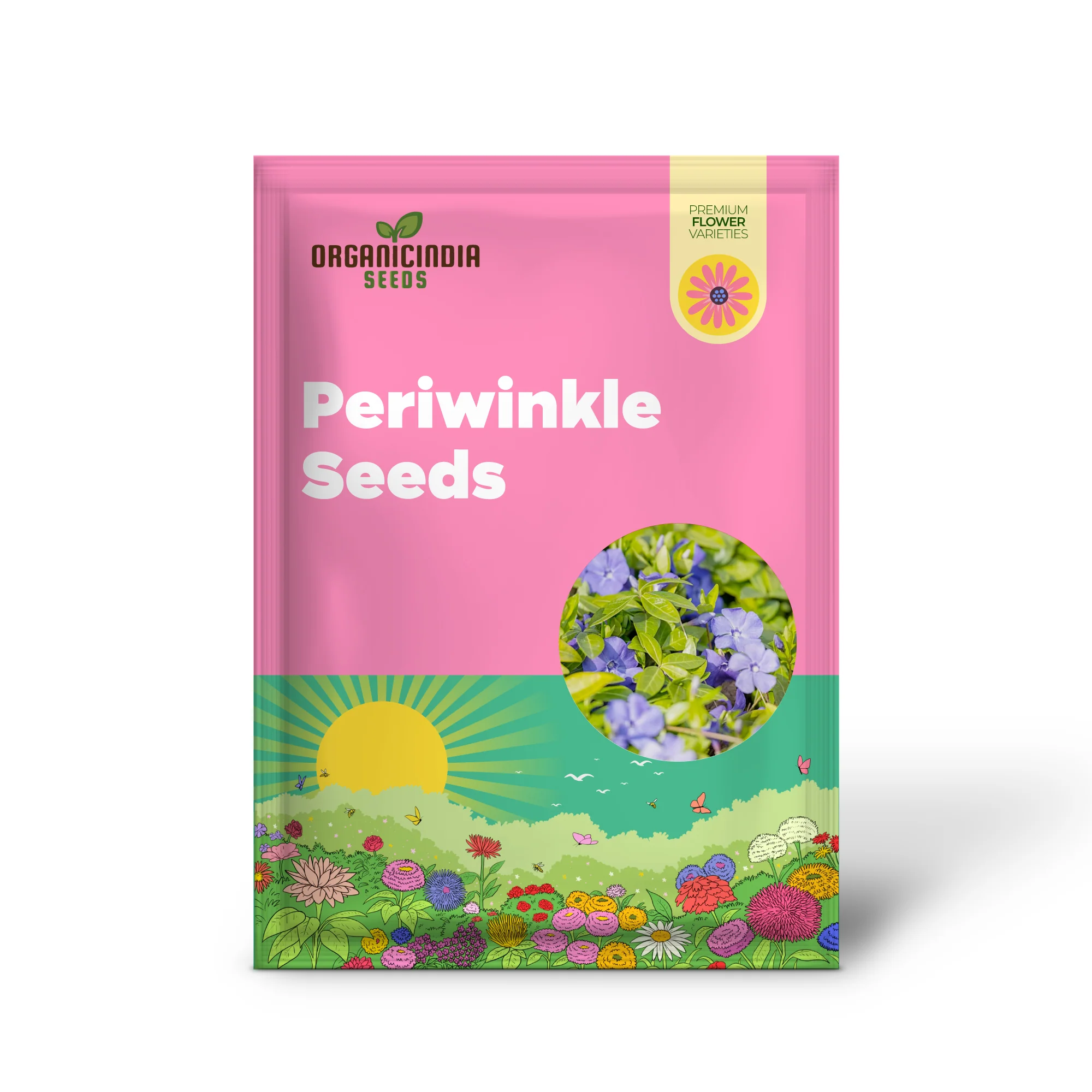 40Pcs Periwinkle Seeds | Low-Growing Evergreen Perennial | Ground Covers | Drought Tolerant | Attracts Butterflies | Borders Outdoor - Image 2