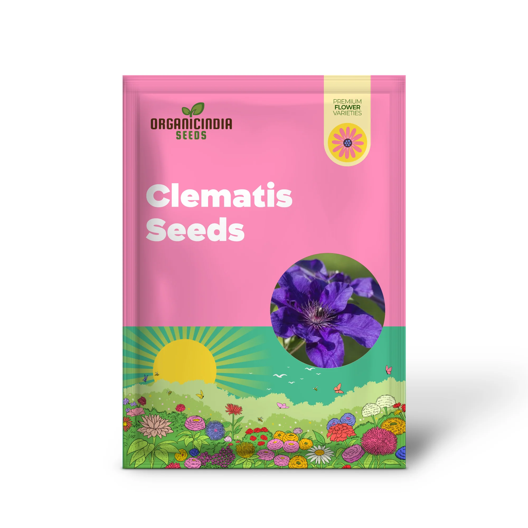 50 Dark Purple Clematis Seeds | Blooming Climbing Perennial Flowers | Flower Vine | Perennial Climber - Image 2