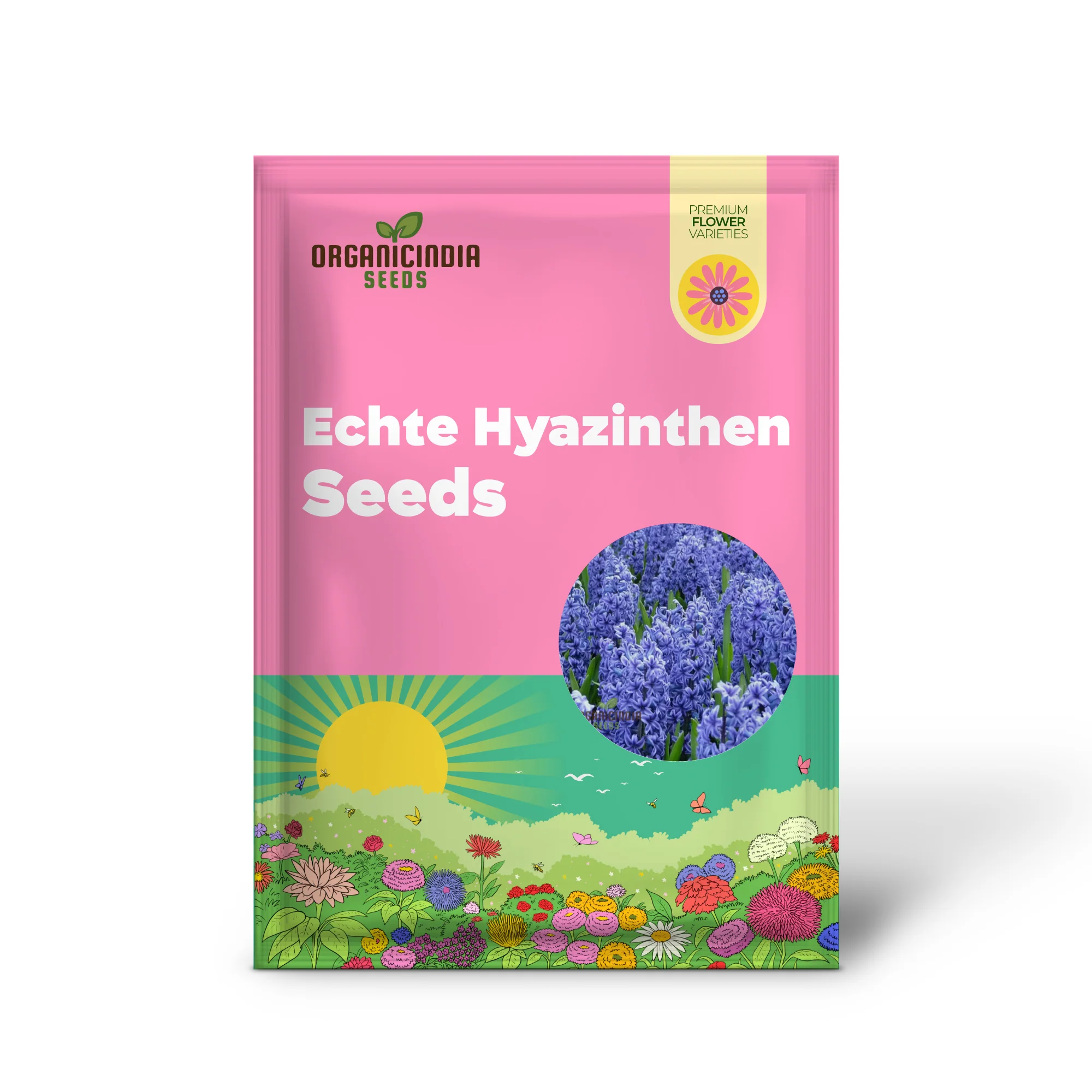 Blue Echte Hyazinthen Plant Seeds, Fragrant Flower Seeds for Planting - Transform Your Garden with Stunning Blue Blooms - Ideal for Gardening Enthusiasts - Image 2