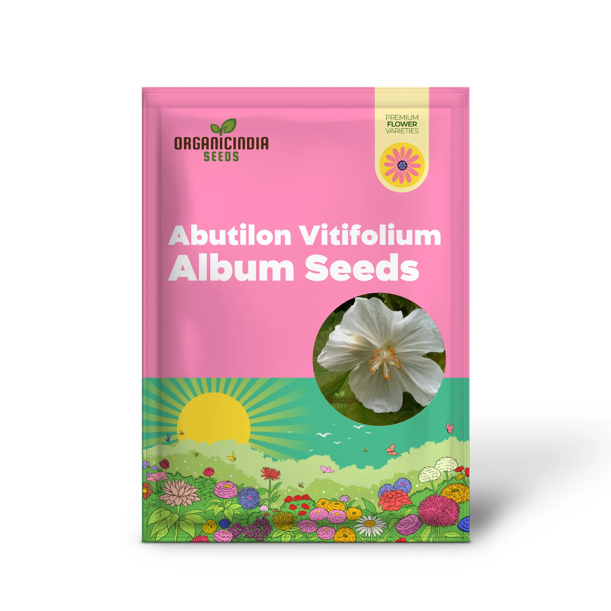 Abutilon Vitifolium Album Seeds, Elevate Your Garden with Elegant White Blossoms - Image 2