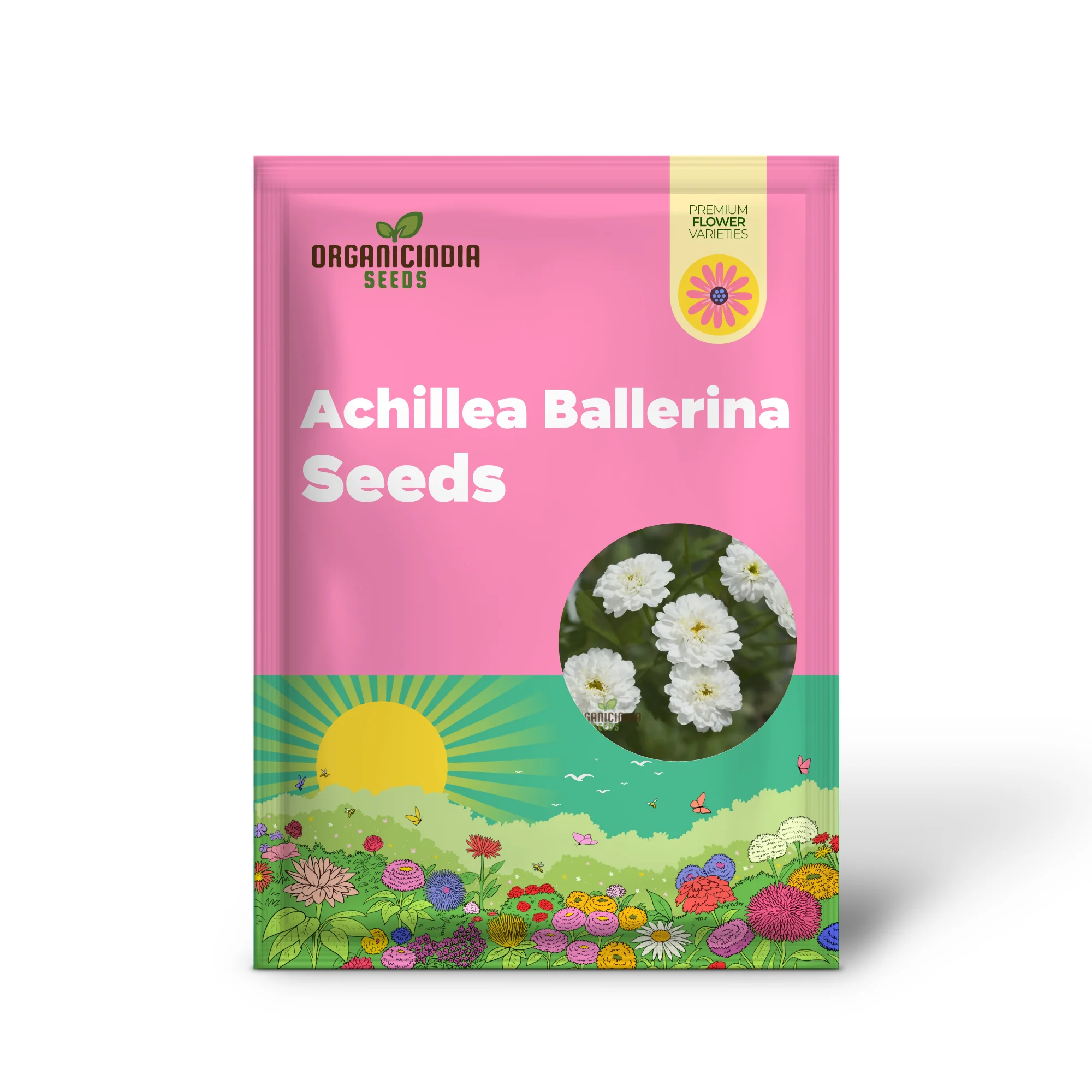 Achillea Ballerina Seeds - Grow Elegant and Graceful Ballerina Yarrow Flowers in Your Garden - Image 2