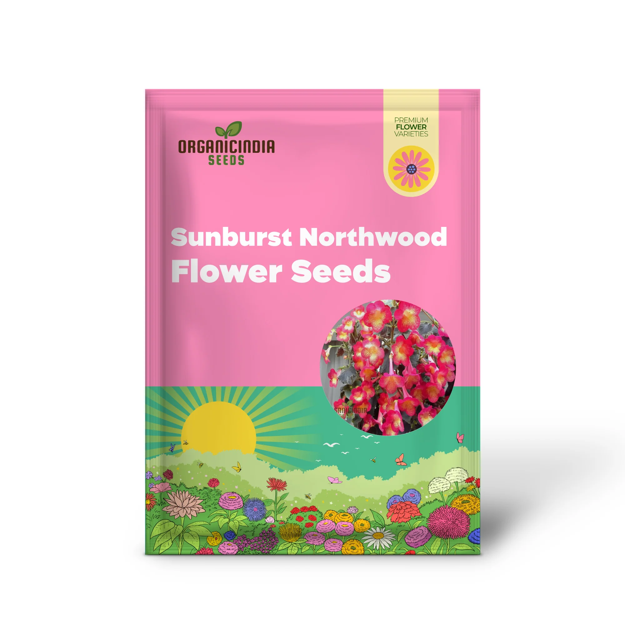 Achimenes 'S Sunburst Northwood Flower Seeds, Exquisite Blooms to Brighten Your Garden - Image 3