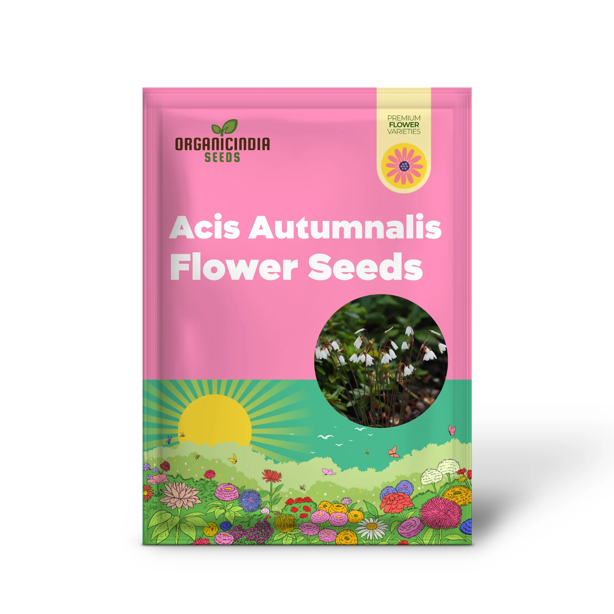 Acis Autumnalis Flower Seeds, A Delicate Autumn Charm for Your Garden - Image 2