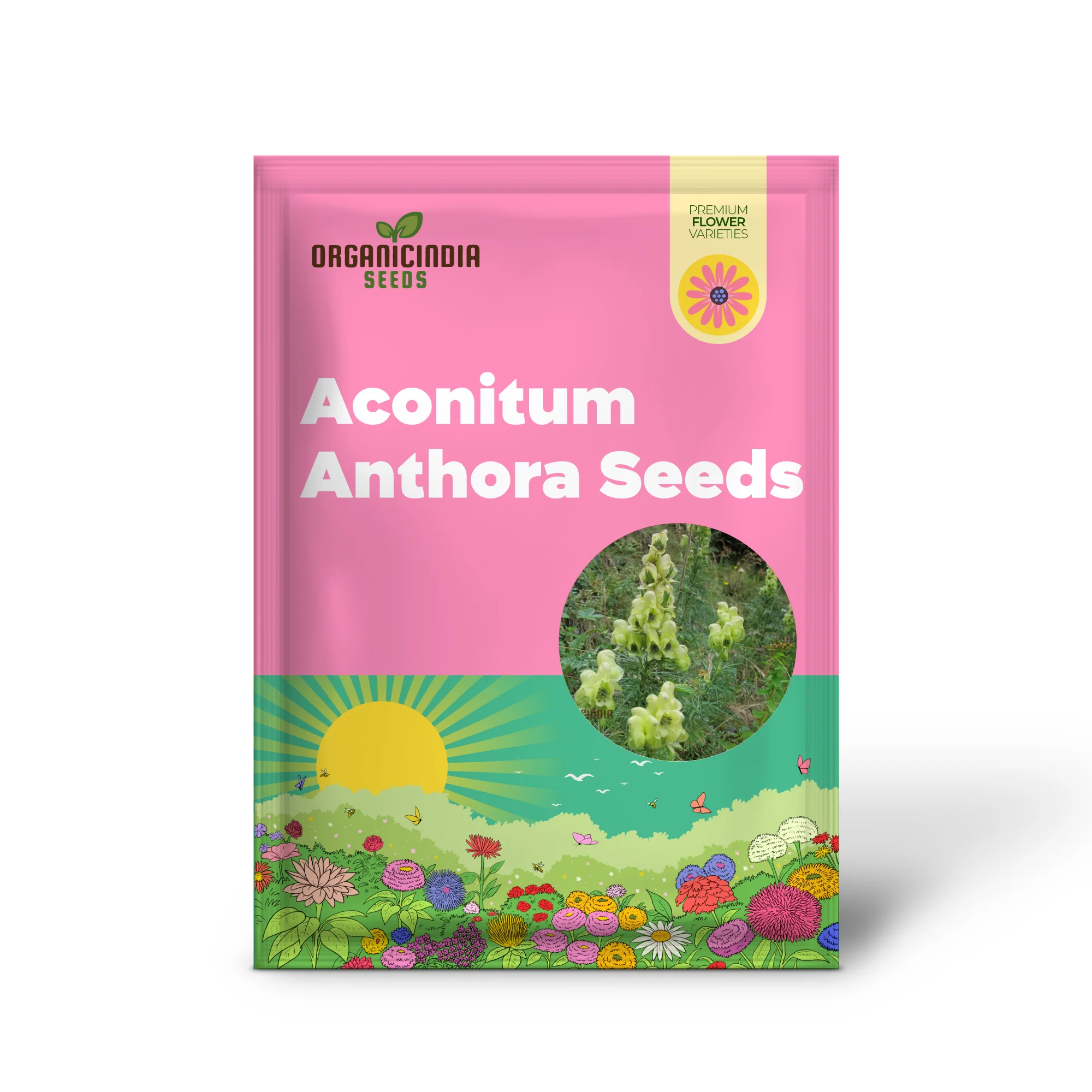 Aconitum Anthora Seeds, A Stunning Addition to Your Garden For Planting - Image 2