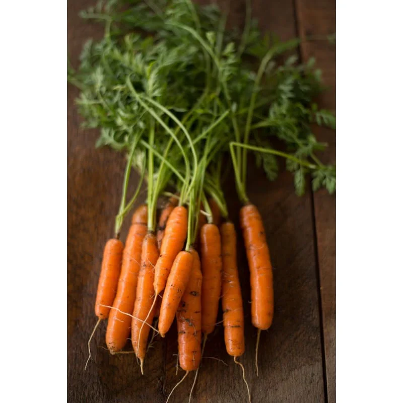 Adelaide Carrot Seeds – Early Baby Carrot Variety - Premium Quality for Home Gardening