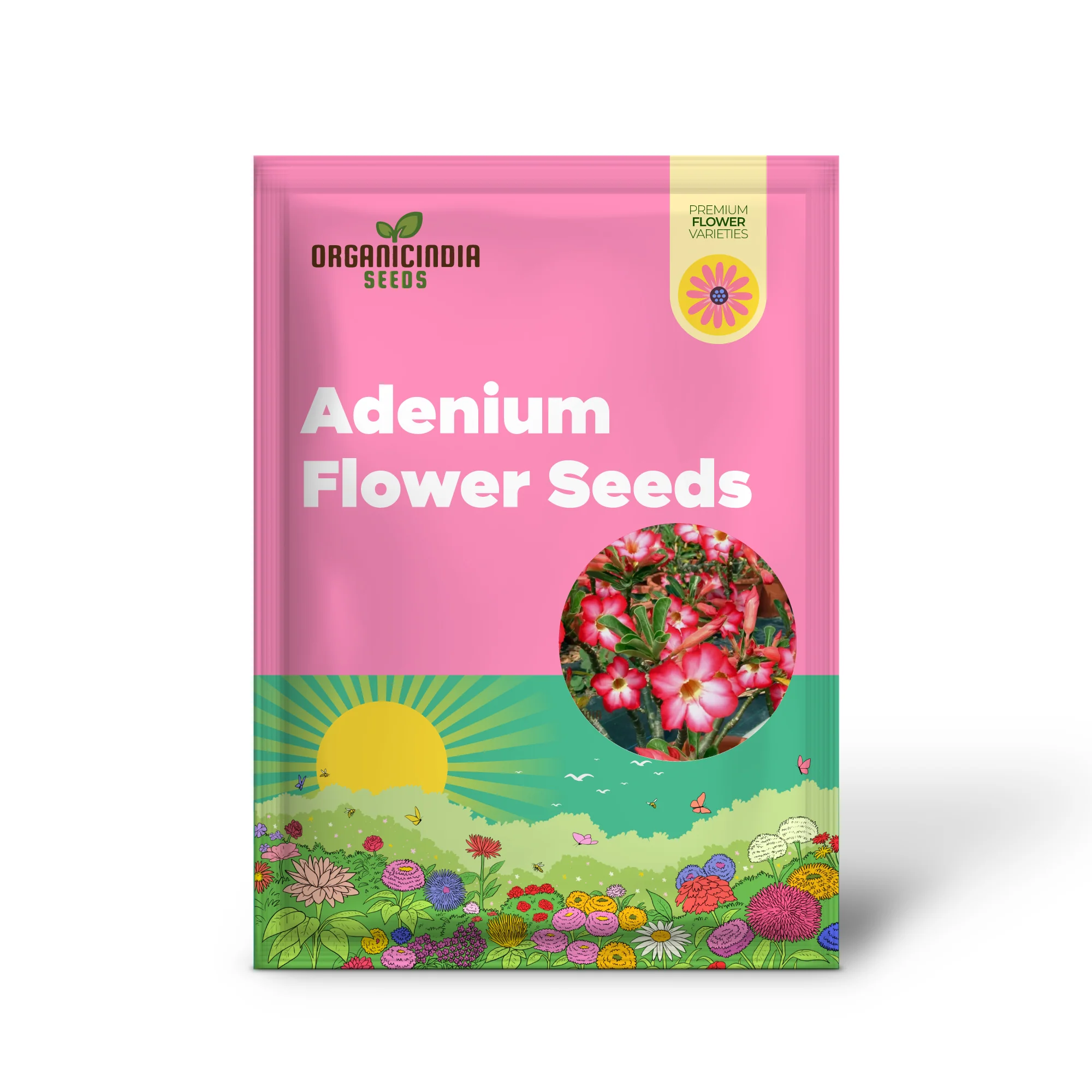 Adenium Imported Flower Seeds for Gardening Enthusiasts | Perfect for Lengthy Blooming Seasons - Image 2