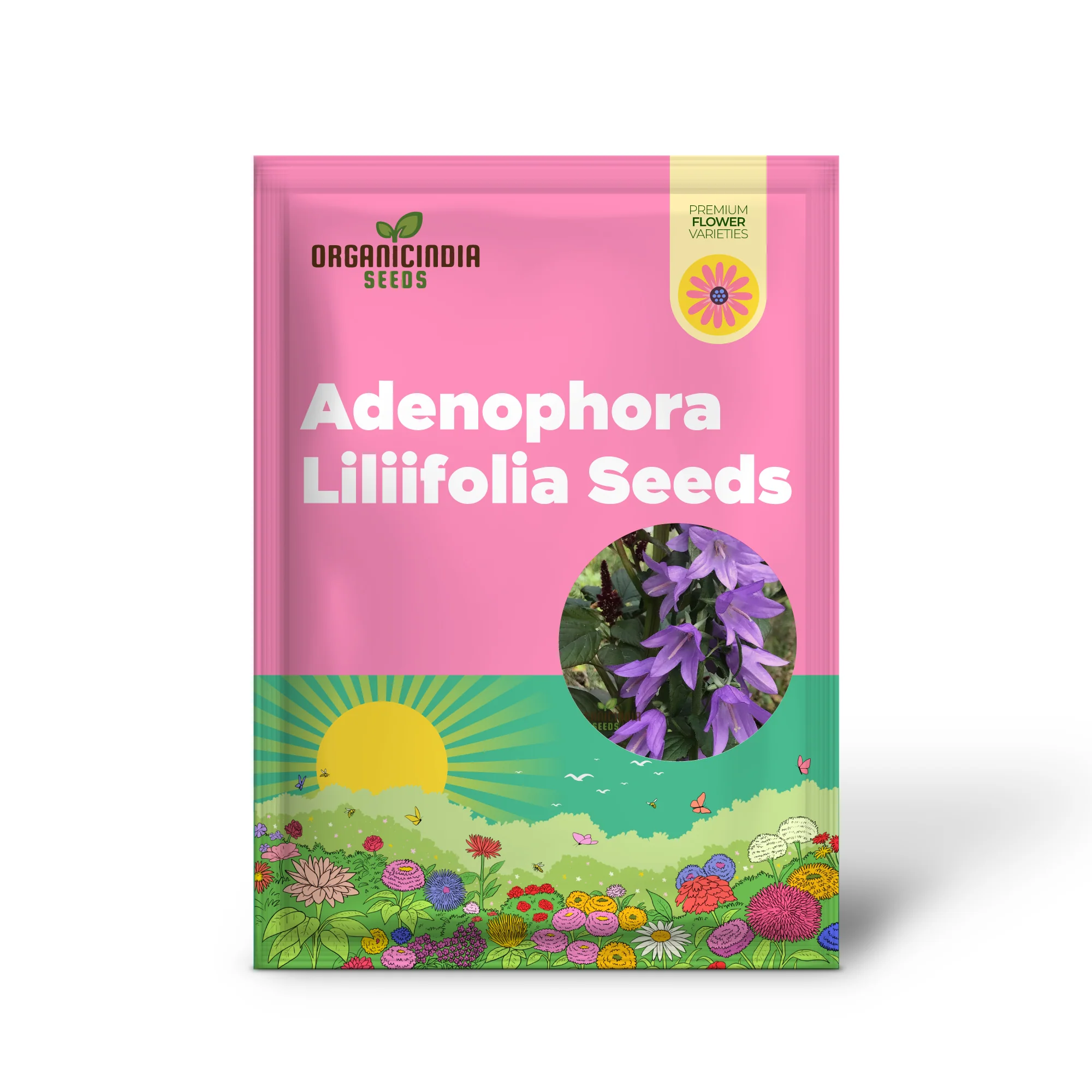Adenophora Liliifolia Seeds For Planting, Add Elegance to Your Garden with these Beautiful Flower Seeds - Image 2