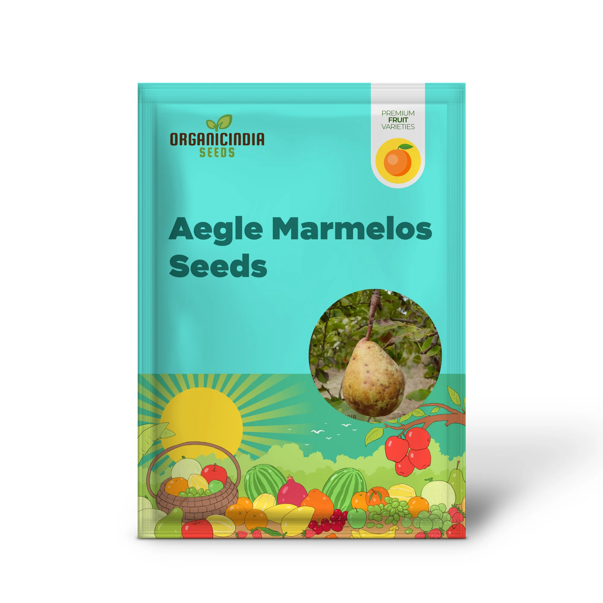 Aegle Marmelos Seeds, Grow Your Own Sacred Bael Tree in Your Garden - Image 2