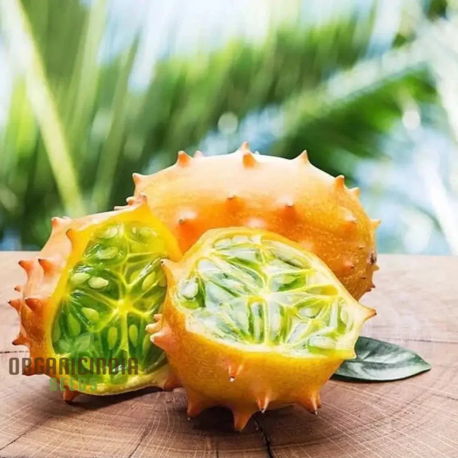African Horned Cucumber Seeds for Planting and Gardening - Organic Seeds