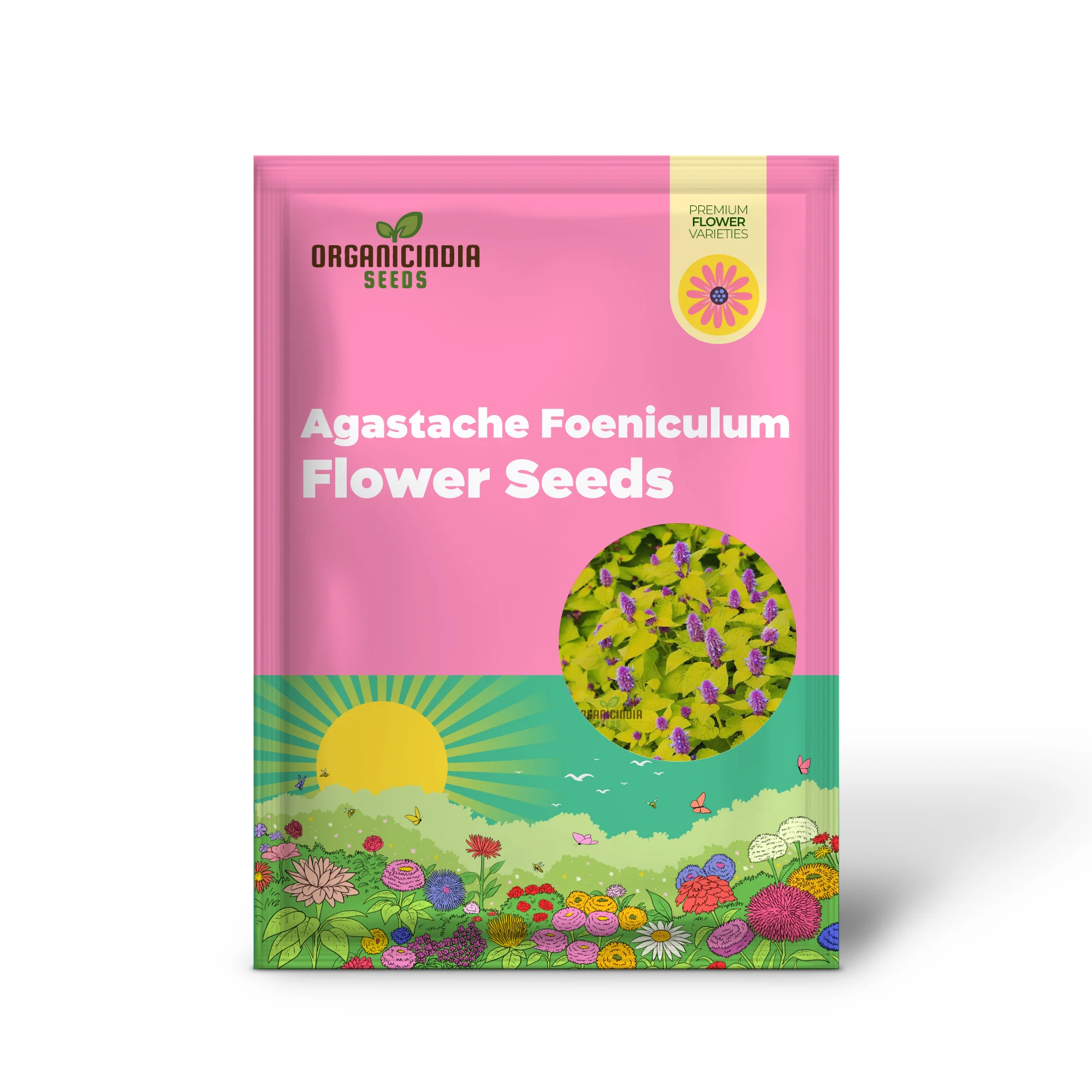 Agastache Foeniculum 'Golden Jubilee' Flower Seeds, Elevate Your Garden with Vibrant Blooms Using Expert Planting and Gardening Techniques - Image 2