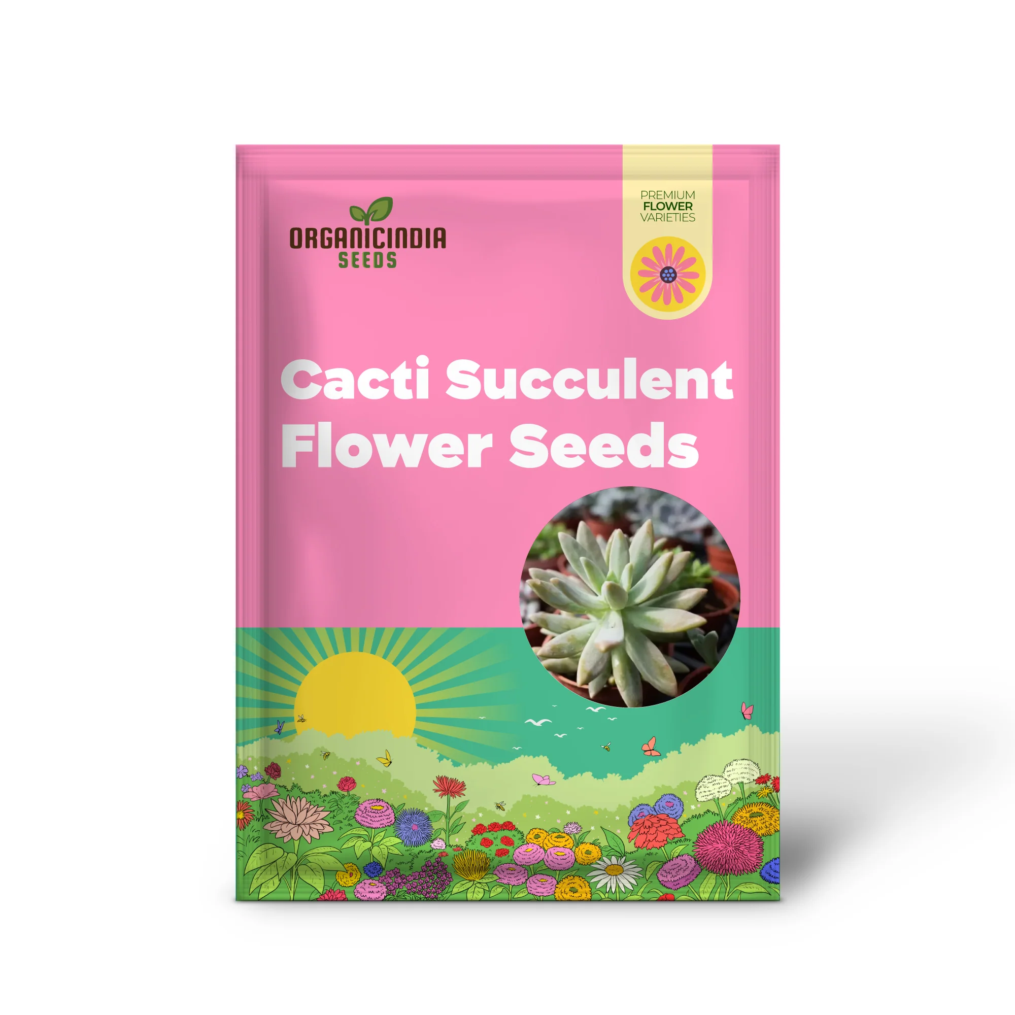 Mix Cacti Succulent Flower Seeds - Perfect for Indoor and Outdoor Gardening - Image 2