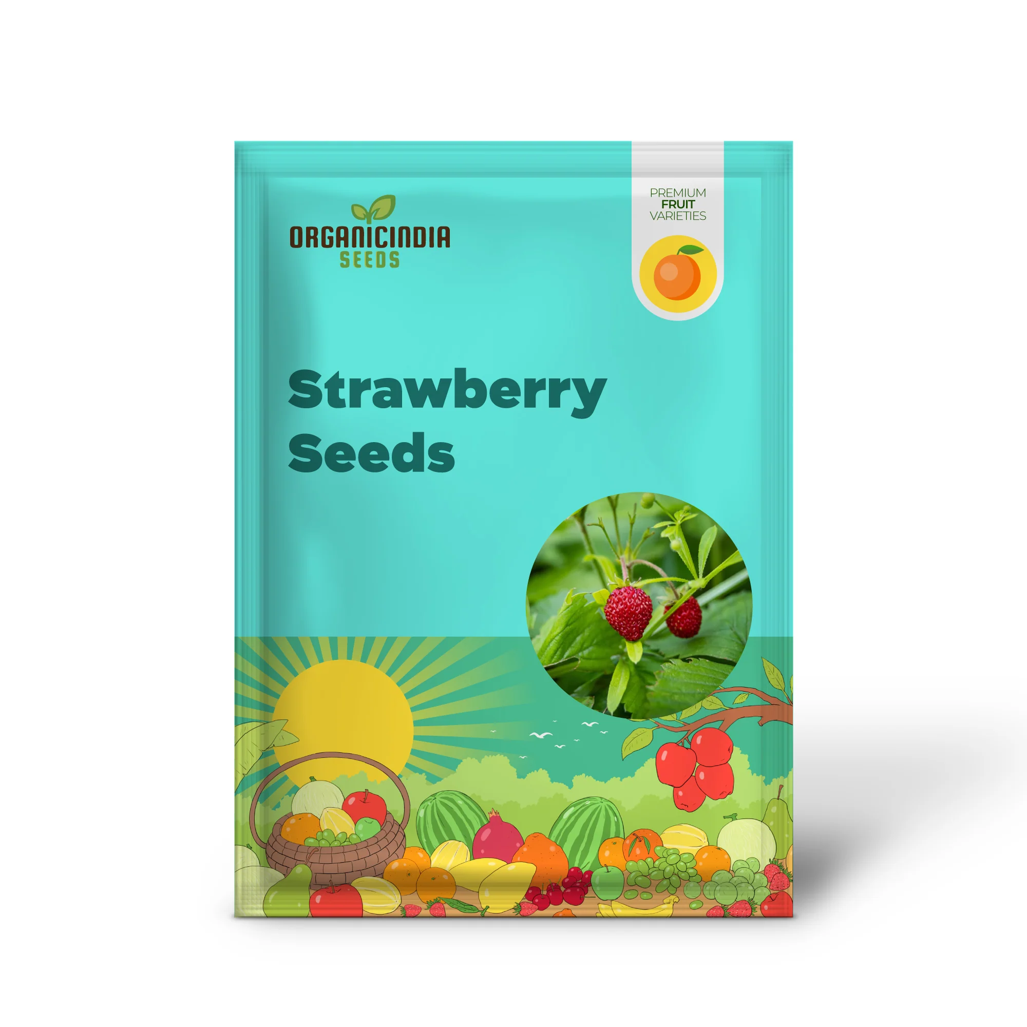 Alexandria (Alpine) Strawberry (Fragaria vesca) – Seeds - Image 2