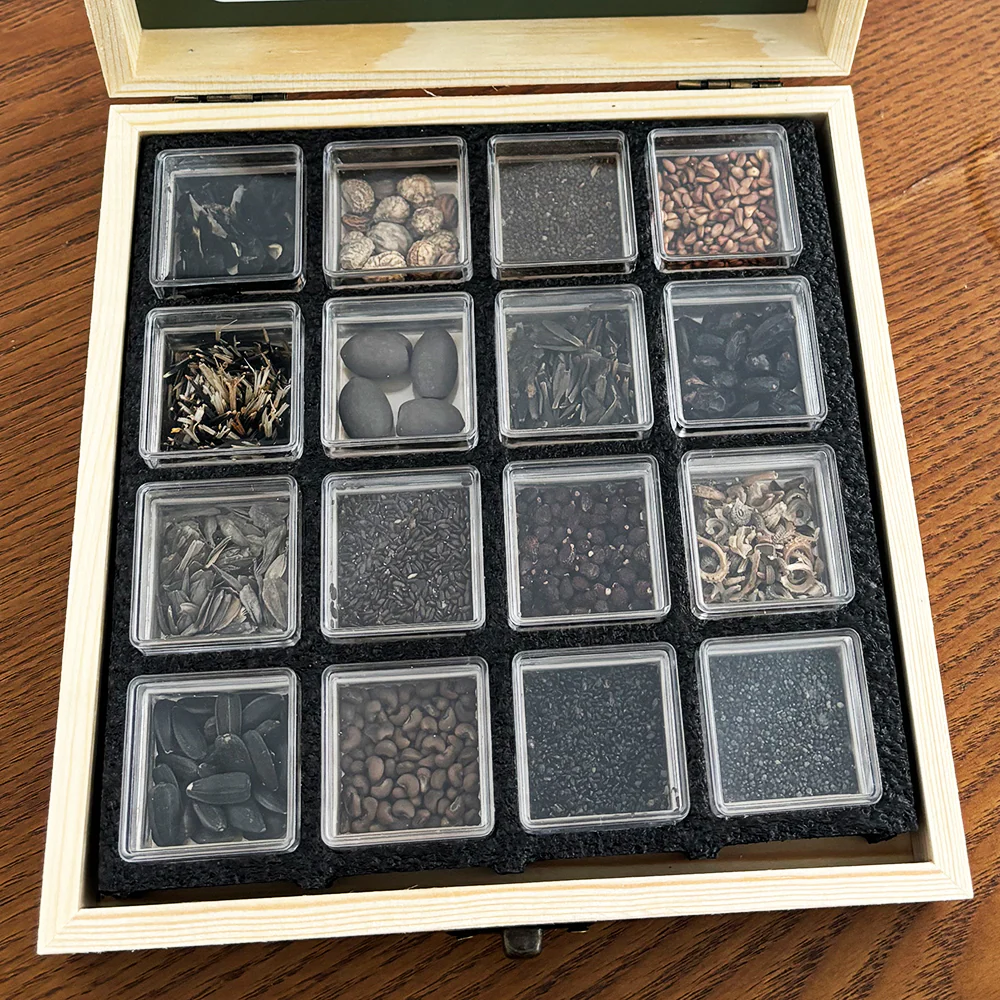 All-in-One Flower Seed Bank - 16 Seed Varieties - Image 3