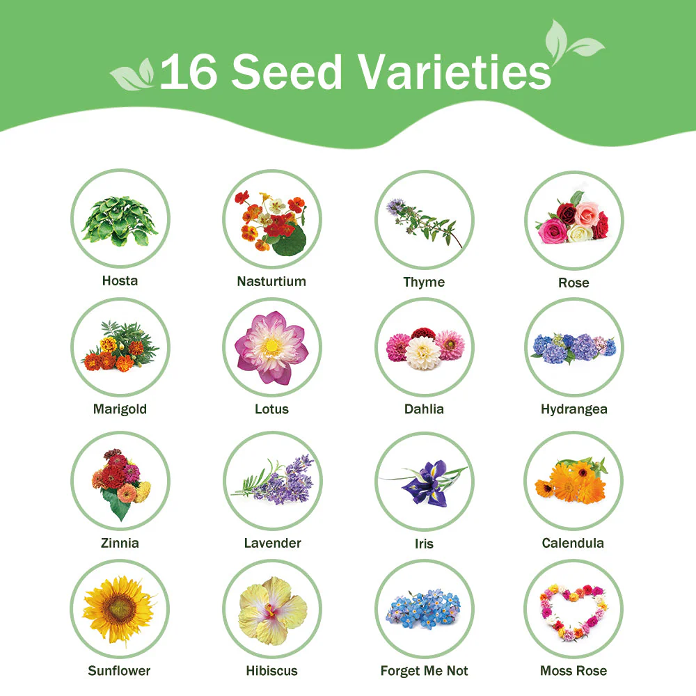 All-in-One Flower Seed Bank - 16 Seed Varieties - Image 4