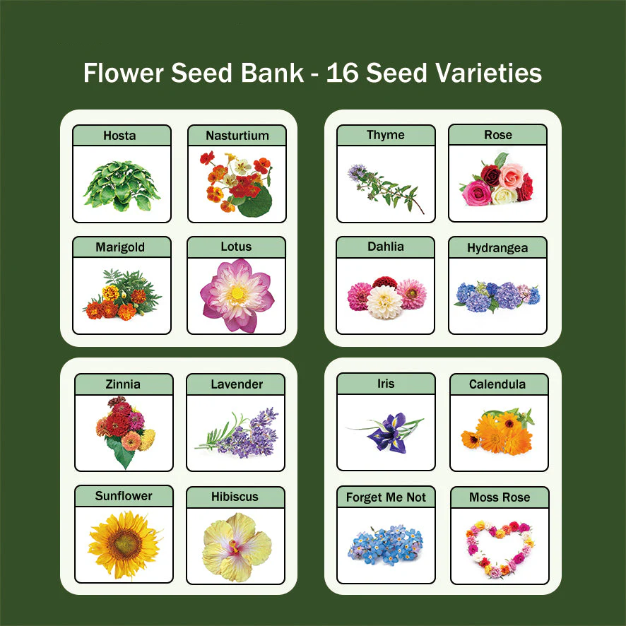 All-in-One Flower Seed Bank - 16 Seed Varieties - Image 5