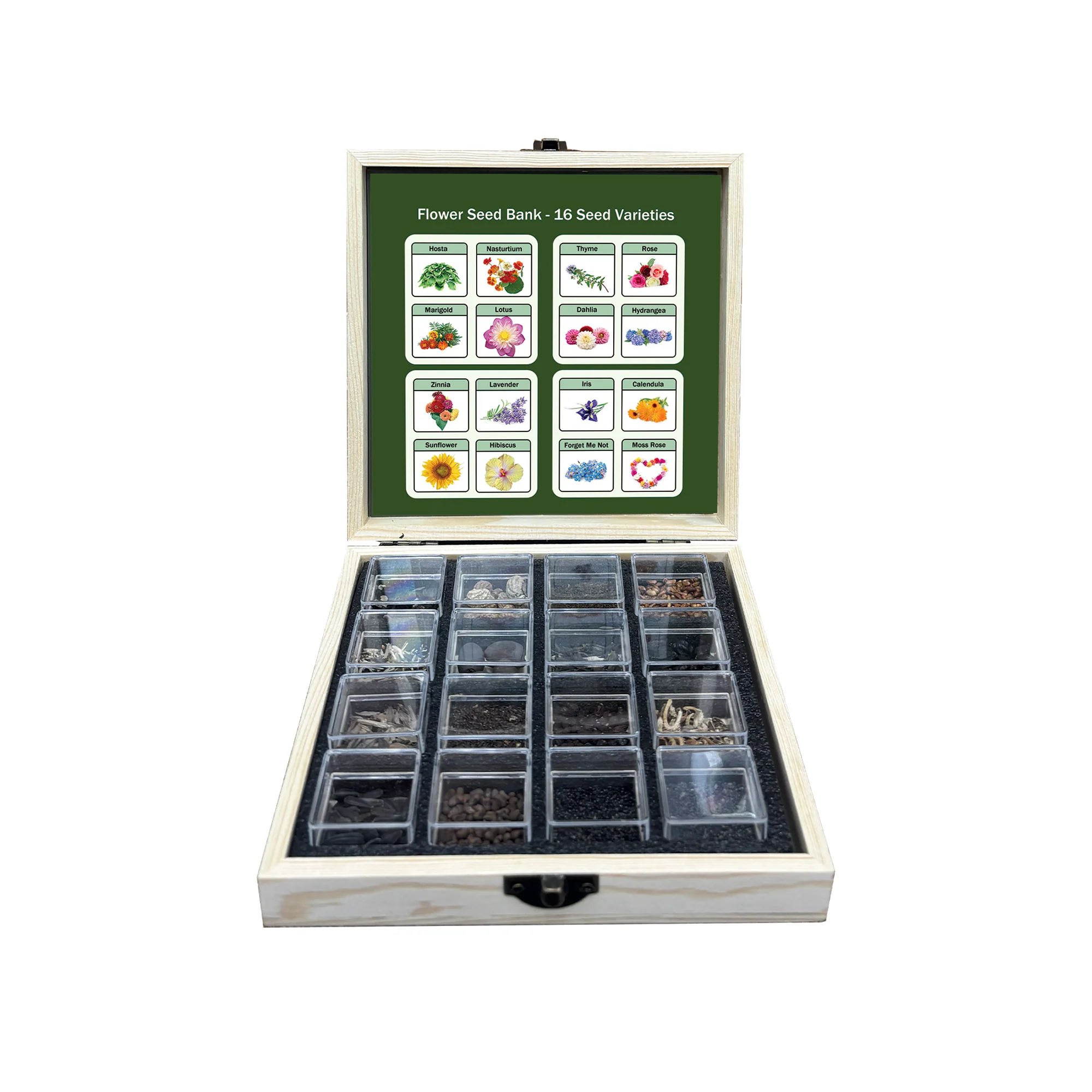All-in-One Flower Seed Bank - 16 Seed Varieties - Image 6