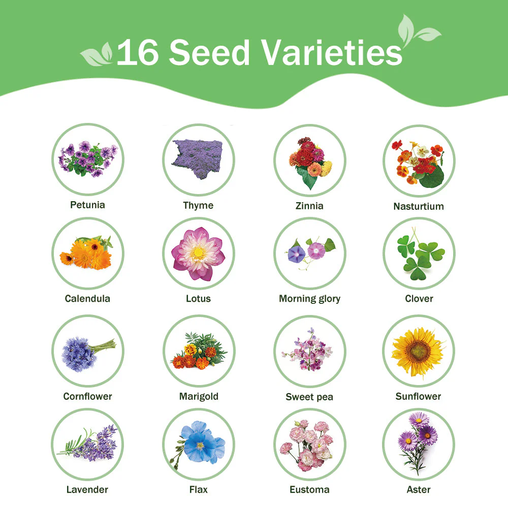 All-in-One Flower Seed Bank - 16 Seed Varieties - Image 3