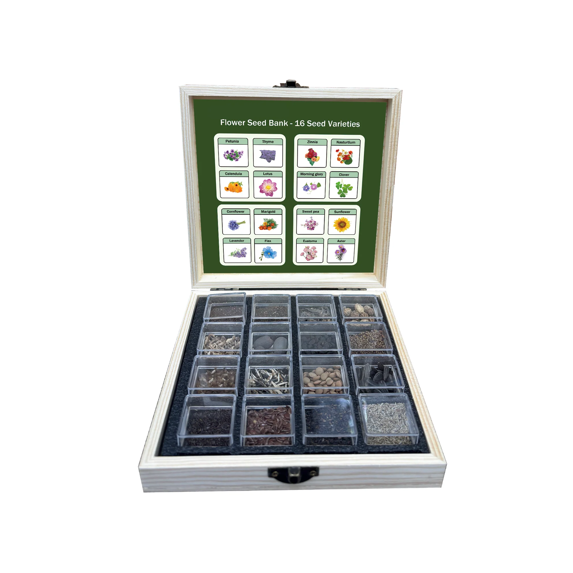 All-in-One Flower Seed Bank - 16 Seed Varieties - Image 5