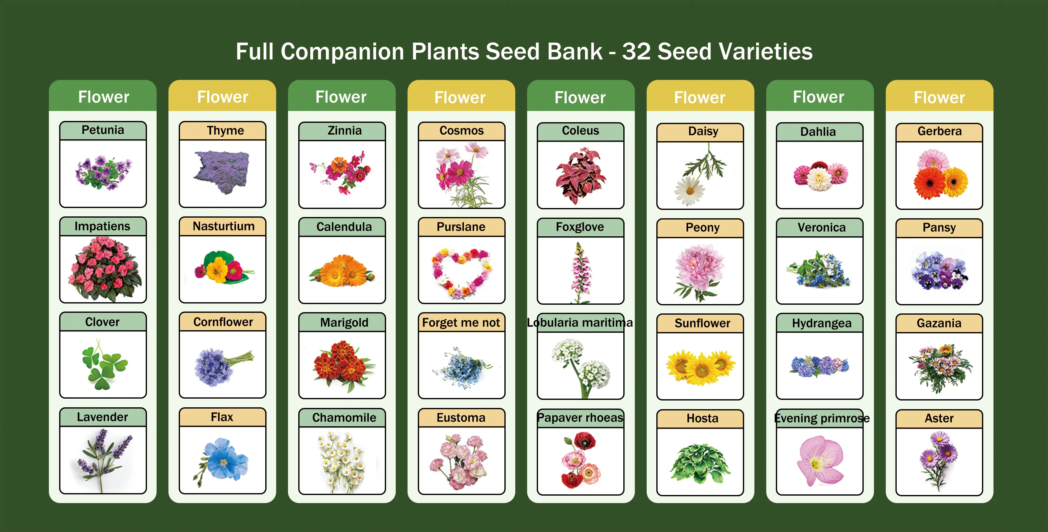 All-in-One Flower Seed Bank - 32 Seed Varieties