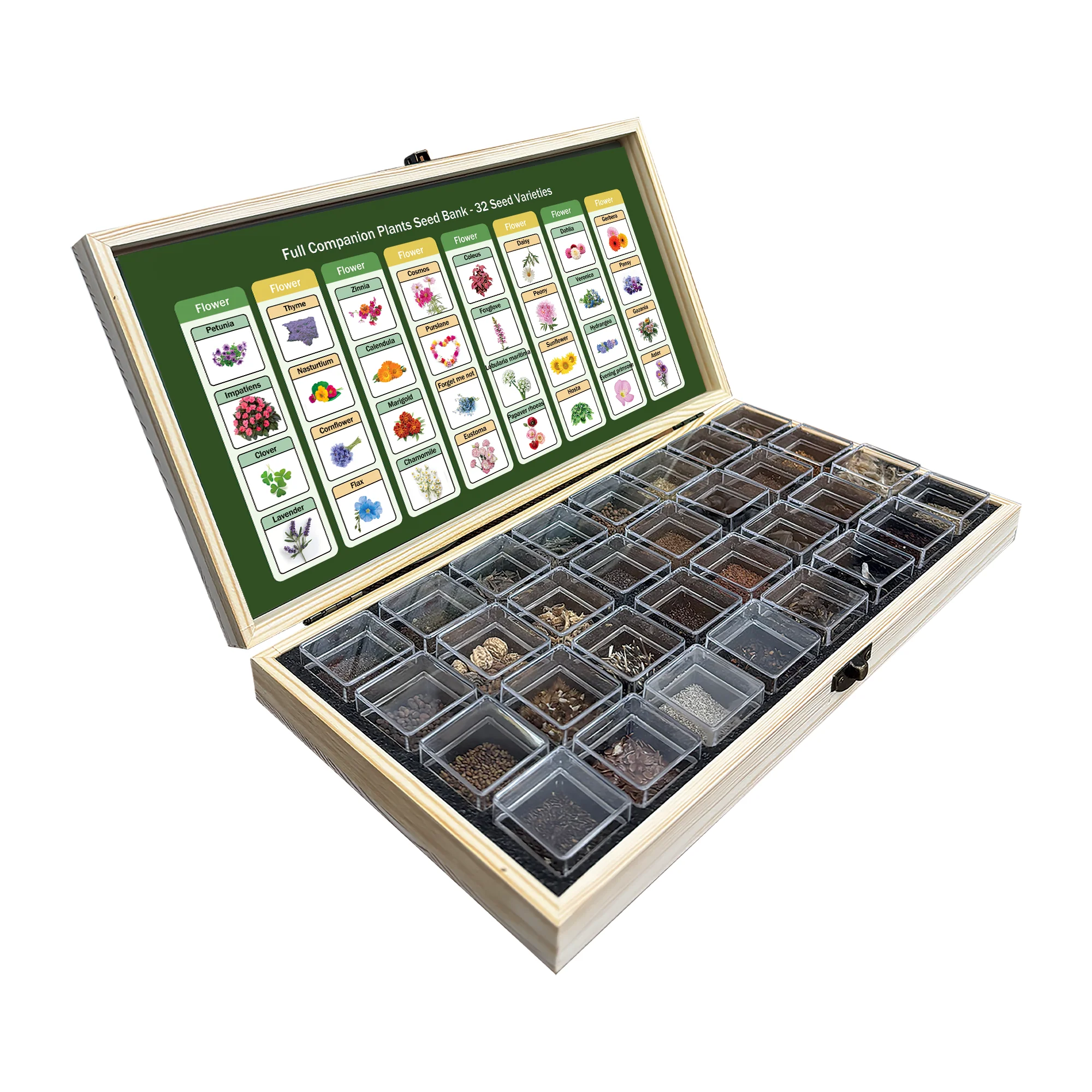 All-in-One Flower Seed Bank - 32 Seed Varieties - Image 2