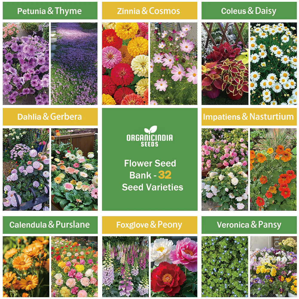 All-in-One Flower Seed Bank - 32 Seed Varieties - Image 3