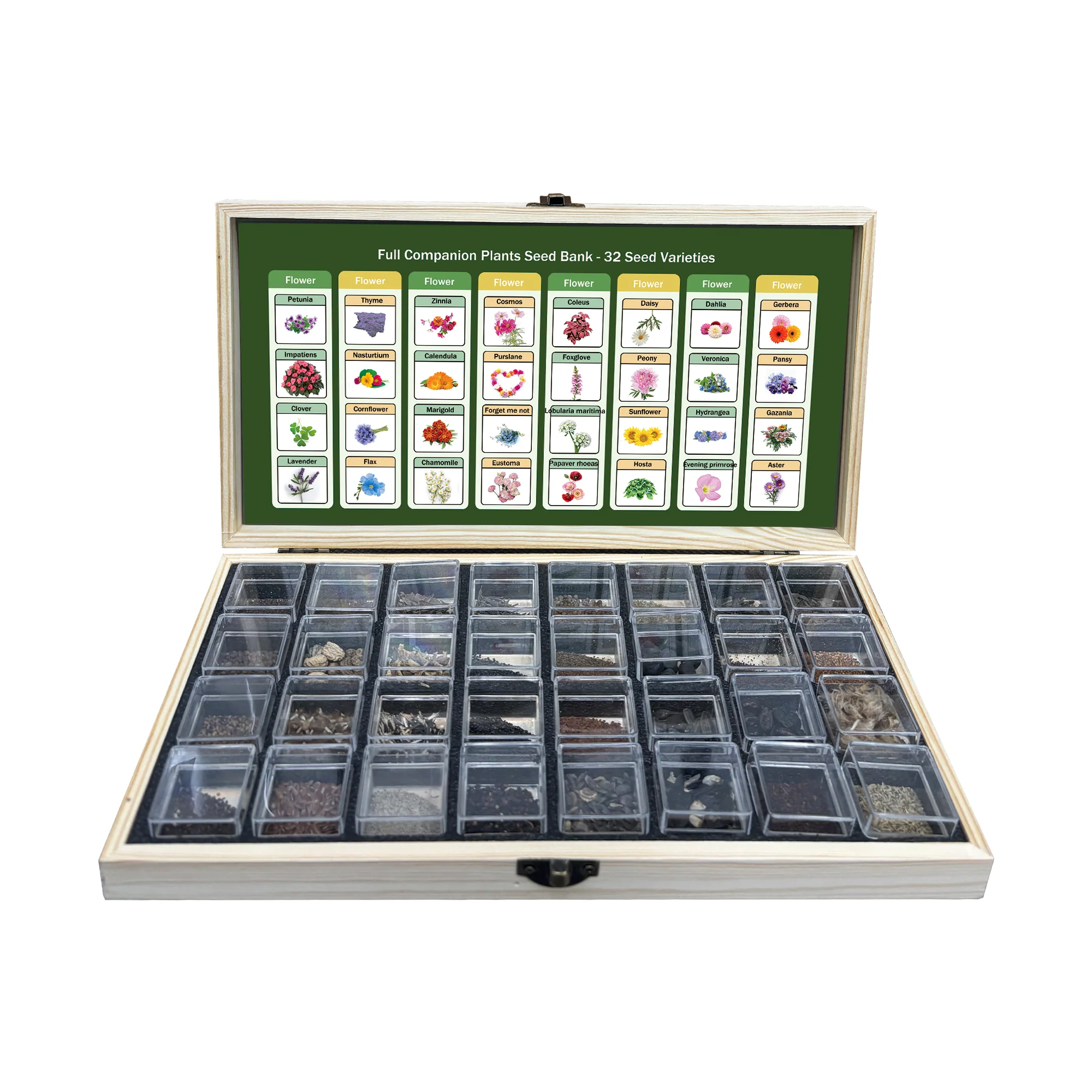 All-in-One Flower Seed Bank - 32 Seed Varieties - Image 4