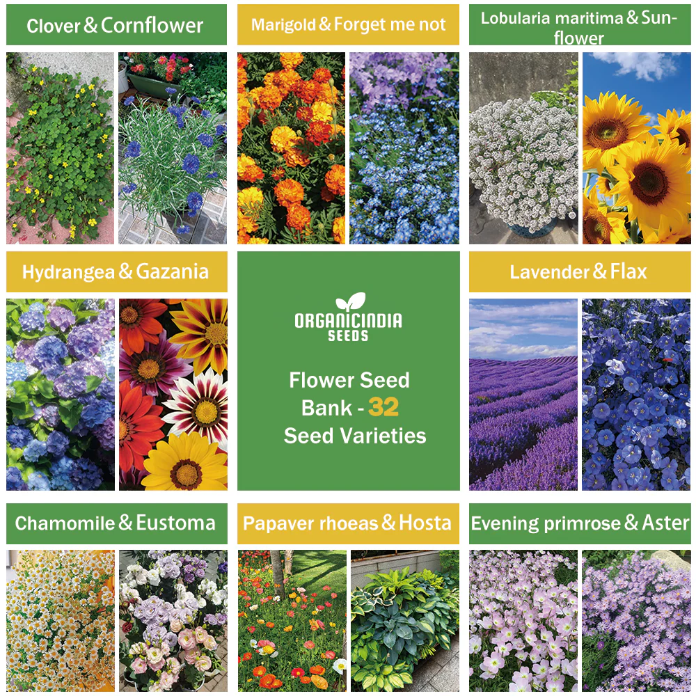 All-in-One Flower Seed Bank - 32 Seed Varieties - Image 5