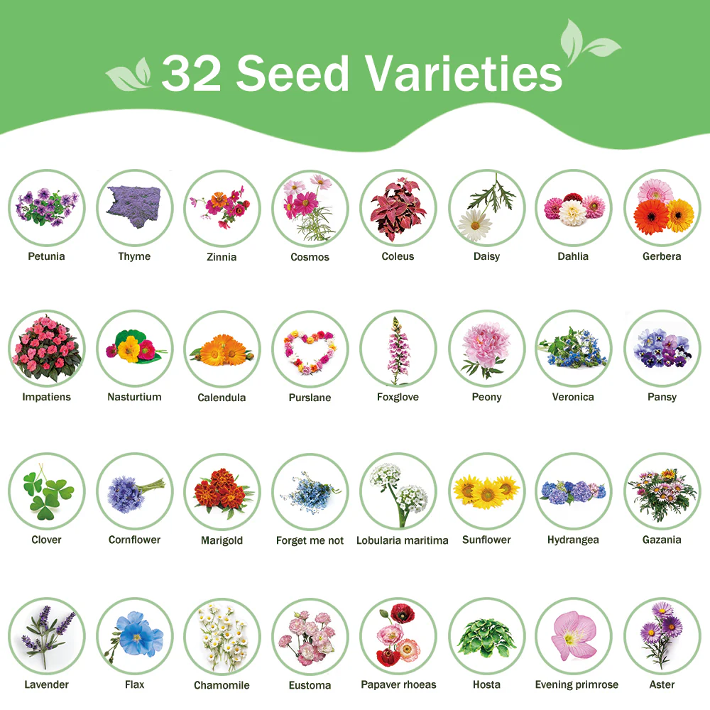 All-in-One Flower Seed Bank - 32 Seed Varieties - Image 6
