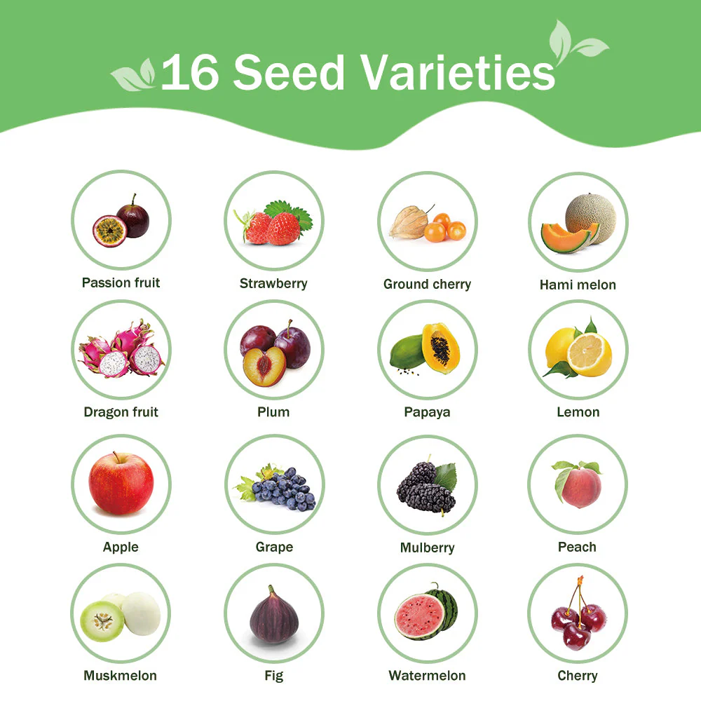 All-in-One Fruit Seed Bank - 16 Seed Varieties - Image 3