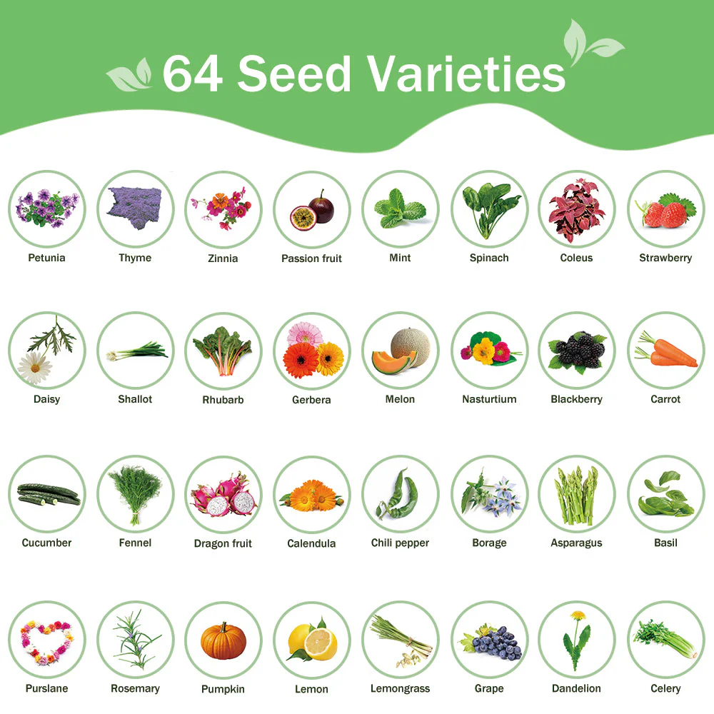 All-in-One Garden Seed Bank β 64 Seed Varieties (Flowers, Herbs, Vegetables, Fruits) - Image 3