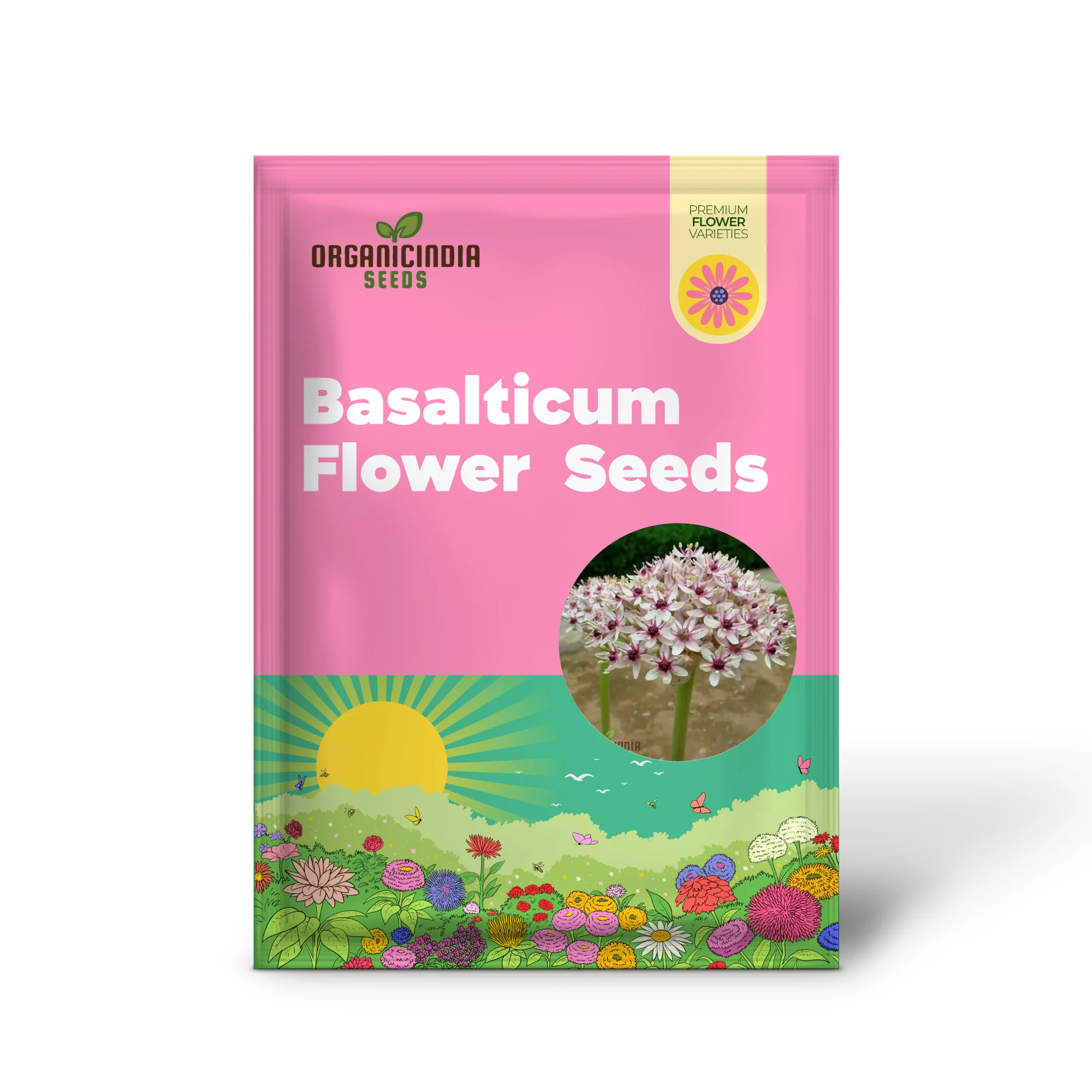 Allium basalticum 'Silver Spring' Flowering Seeds, Cultivating Striking Blooms with Expert Planting and Gardening - Image 2