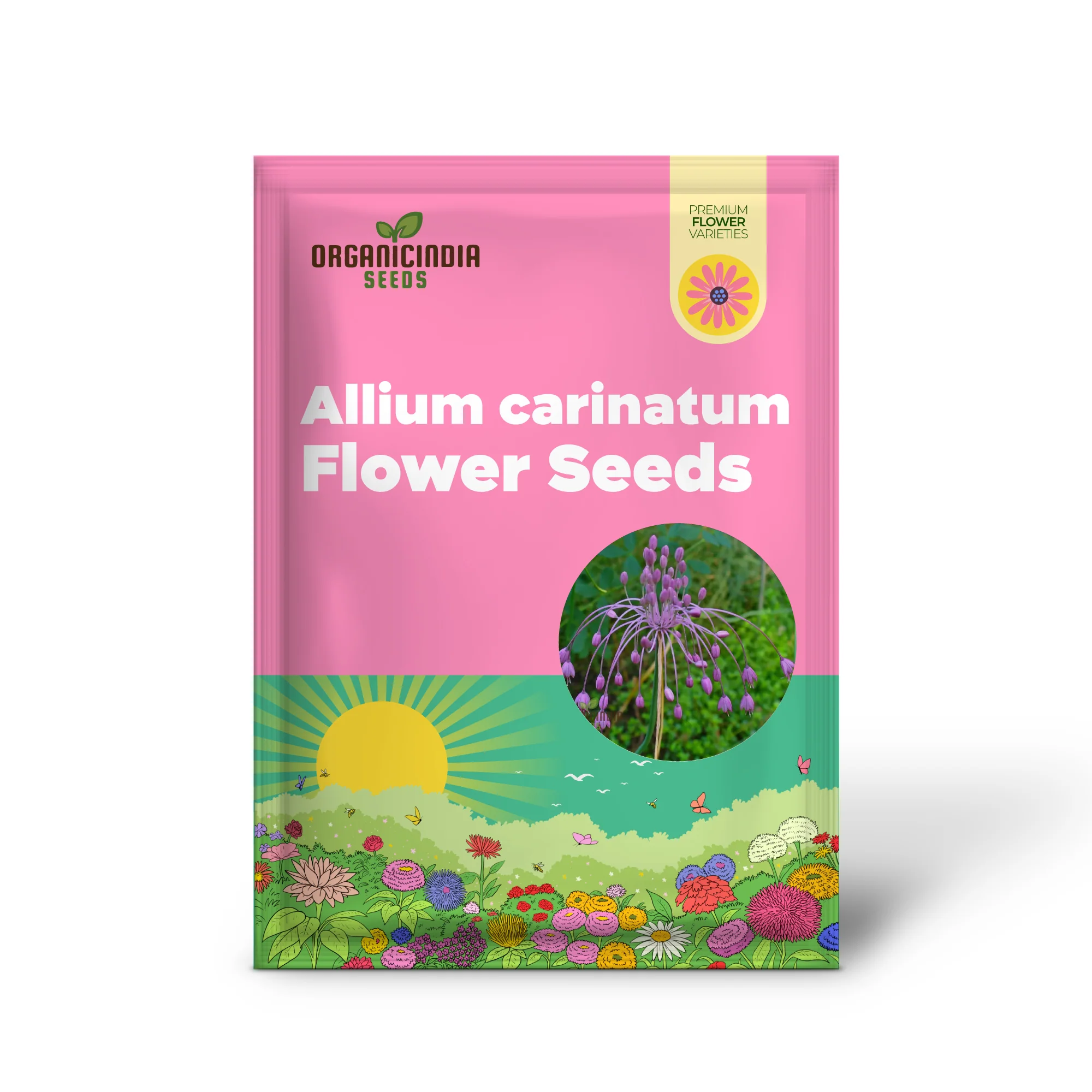 Allium carinatum subsp. pulchellum Flower Seeds, Growing Elegant Blooms with Expert Planting and Gardening - Image 2