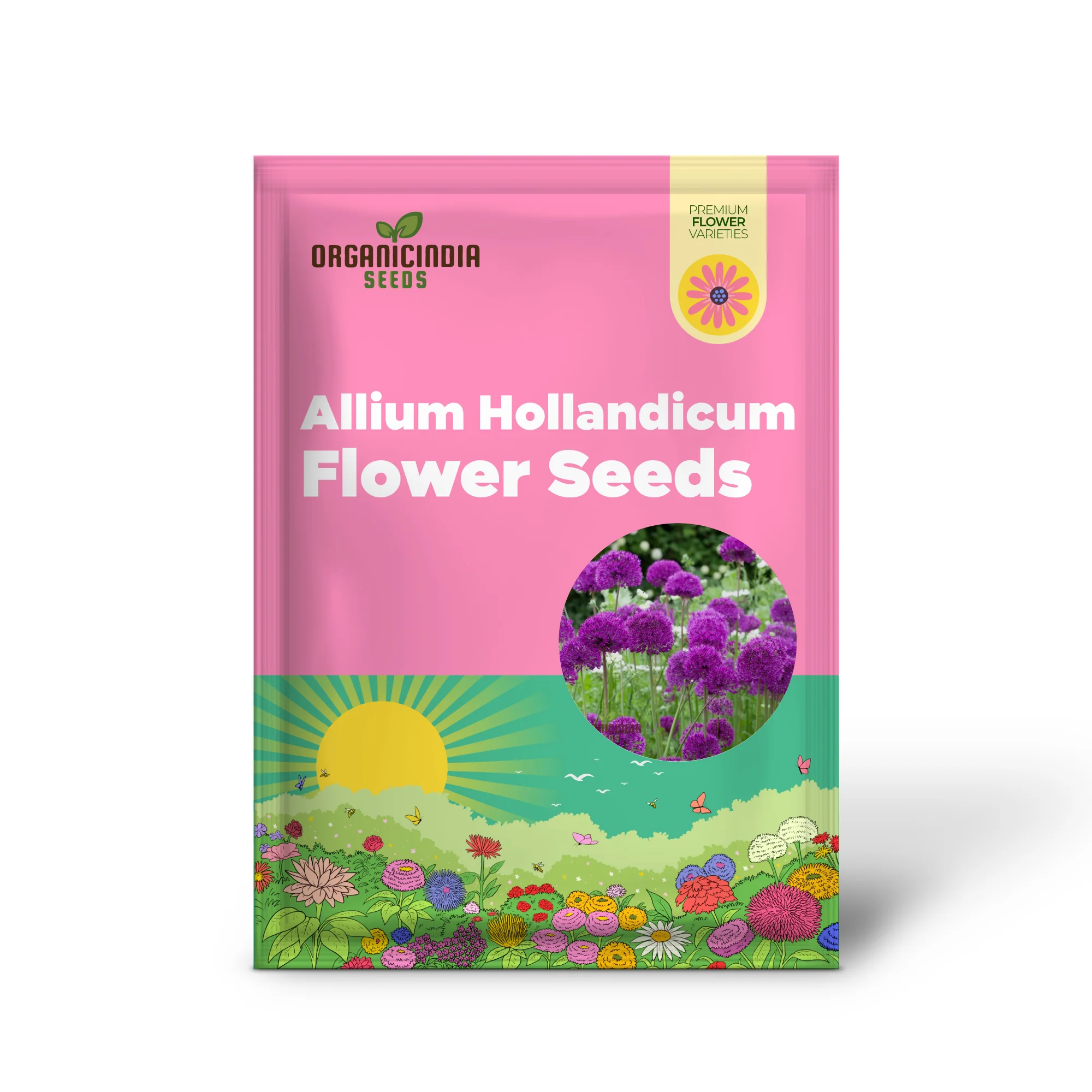 Allium Hollandicum 'Purple' Seeds – Premium Ornamental Flower Variety for Garden Enhancement - Image 2