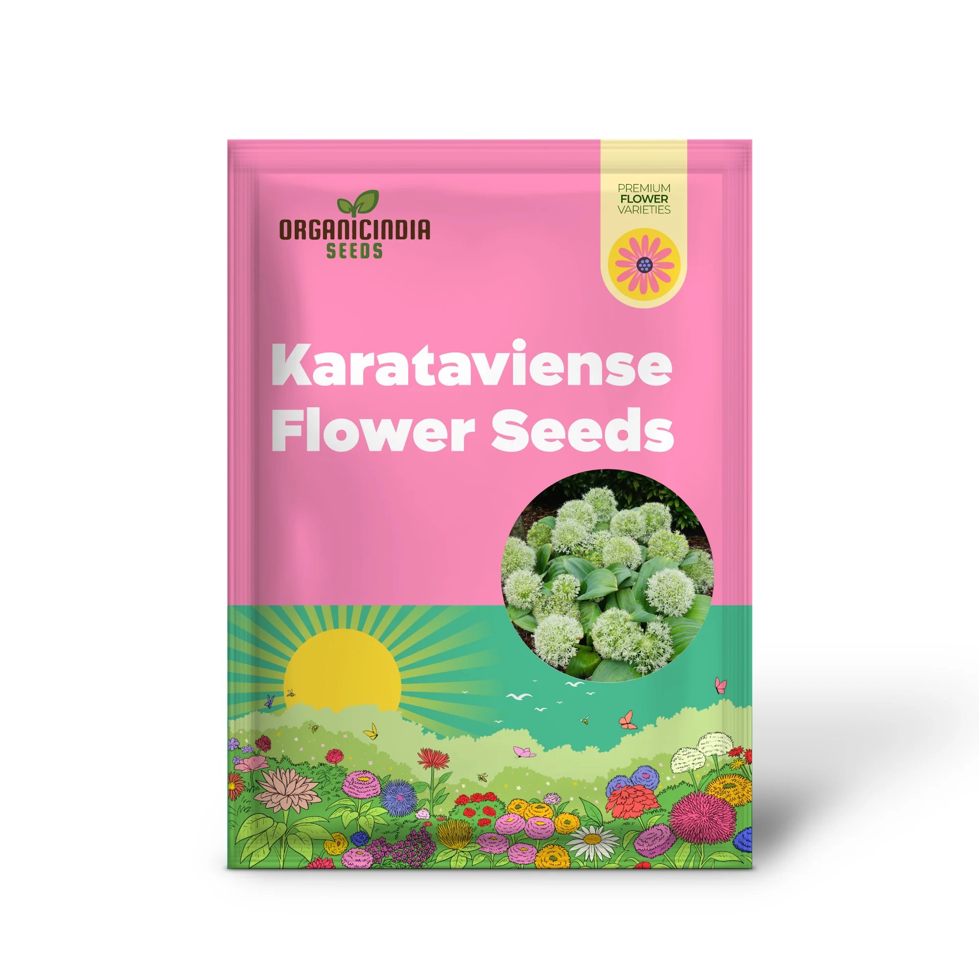 Allium Karataviense âIvory Queenâ Seeds â Premium Ornamental Variety for Elegant Garden Planting - Image 2