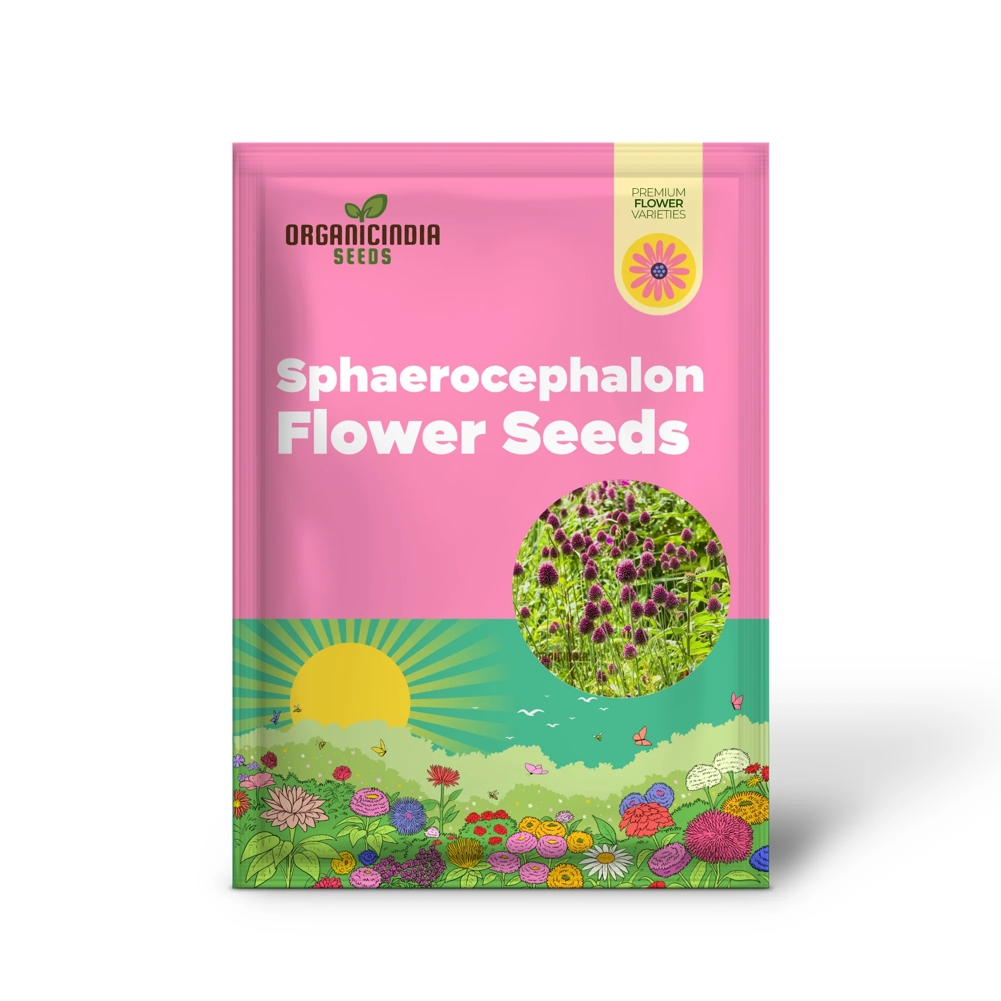 Allium Sphaerocephalon Flower Seeds for Planting, Premium Quality Seeds for Garden Blooms - Image 2