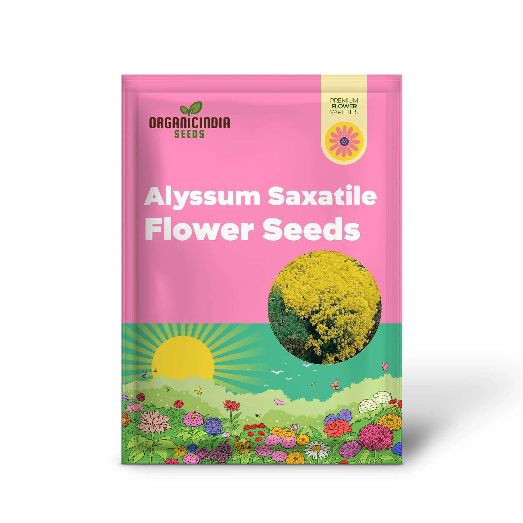 Alyssum Saxatile Compactum Gold Dust Seeds - Grow Compact and Stunning Gold Dust Alyssum in Your Garden - Image 2
